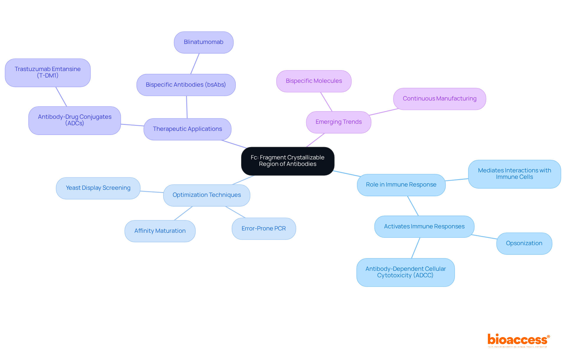 This mindmap illustrates the central role of the Fc region in antibodies, showing how it connects to immune interactions, optimization techniques, and therapeutic advancements. Each branch represents a key topic, making it easy to navigate through the information.