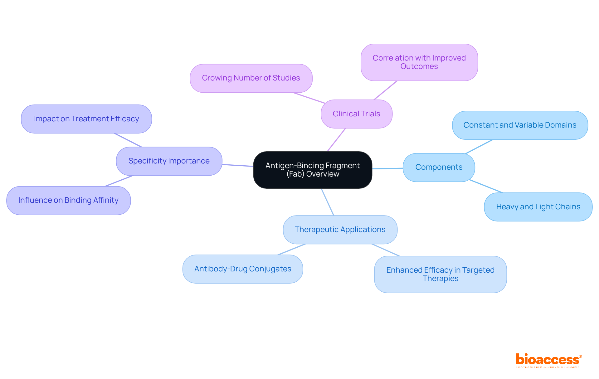 Start from the center with Fab as the main topic, then explore each branch to understand its components, uses in therapy, and research significance.