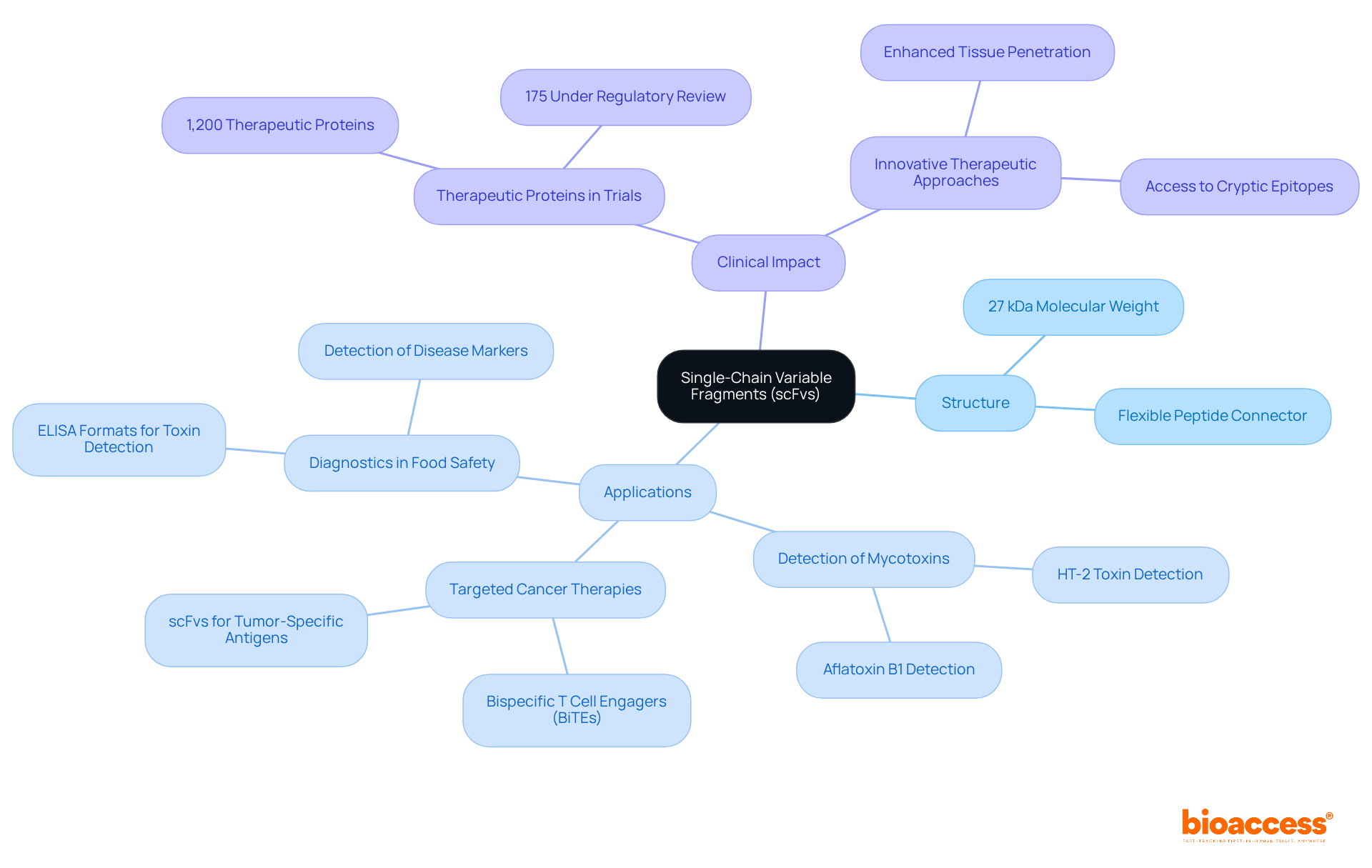 This mindmap illustrates how scFvs are structured and their applications in various fields. Each branch represents a different aspect — follow the connections to understand the broader impact of these innovative proteins.