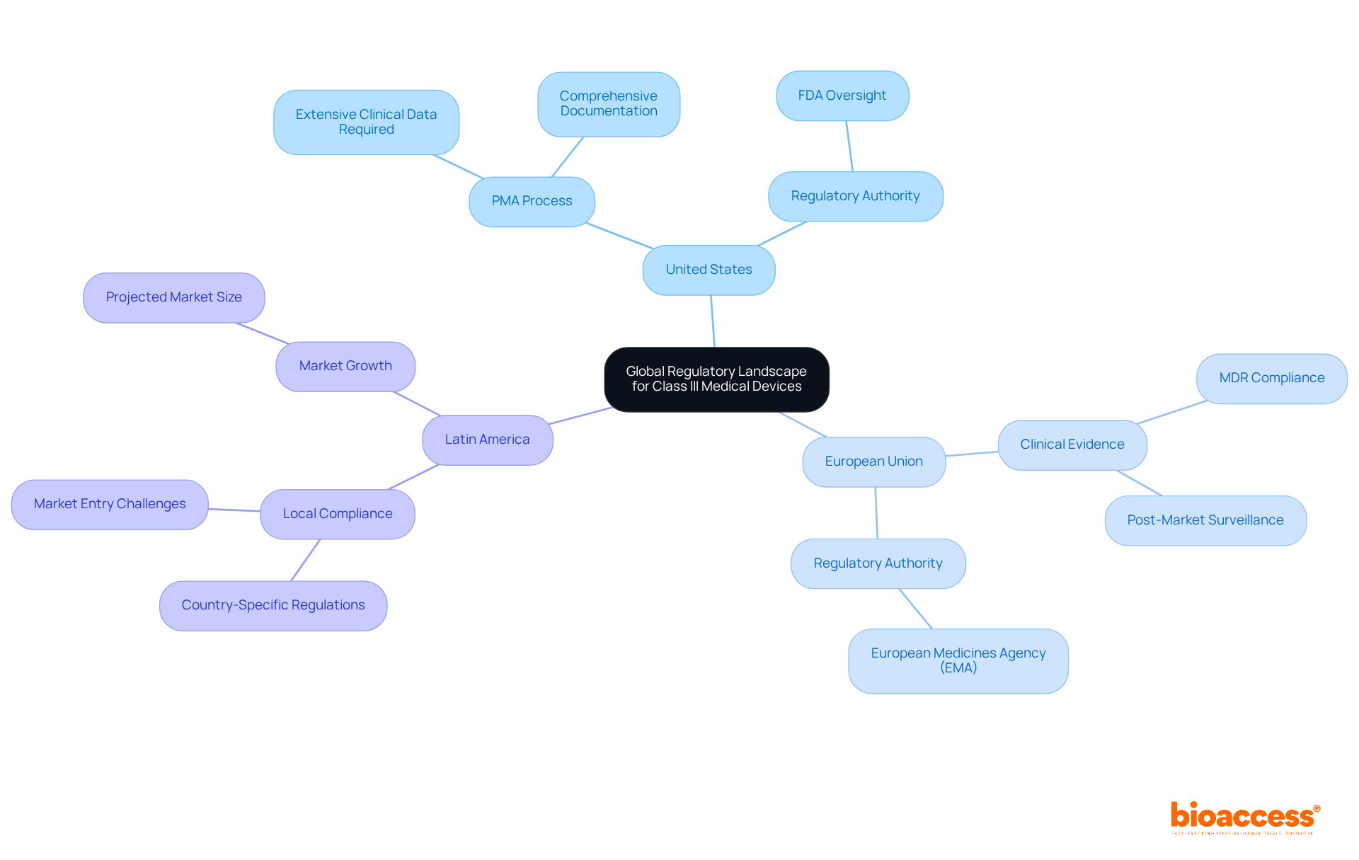 The central node represents the overall topic, while branches show different regions and their specific regulatory requirements. Follow the branches to understand the challenges and opportunities manufacturers face in each area.