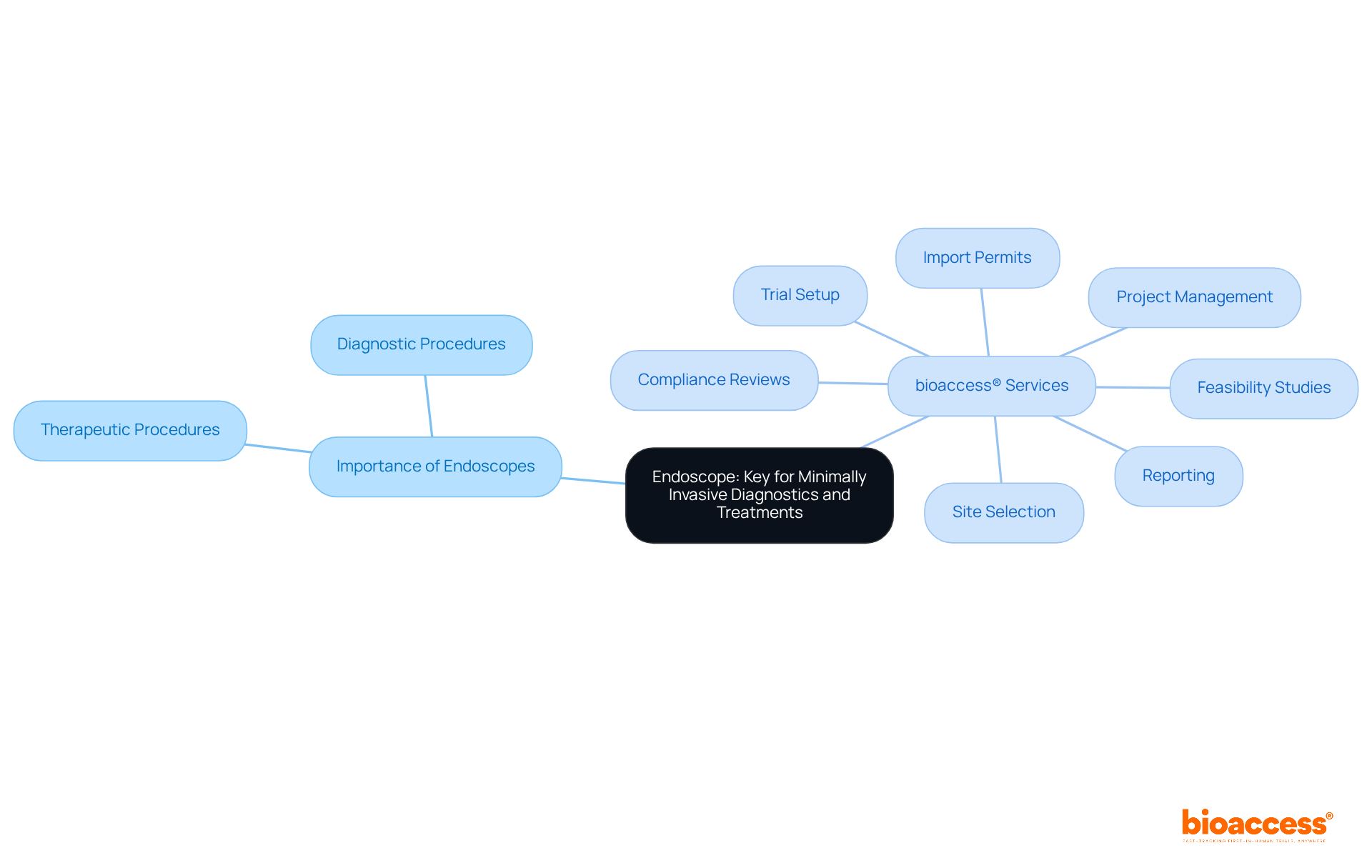 The central node represents the main topic of endoscopes. The branches show their importance in healthcare and the services bioaccess® offers to support clinical trials. Each service is a step in the process of ensuring endoscopes are effective and safe.