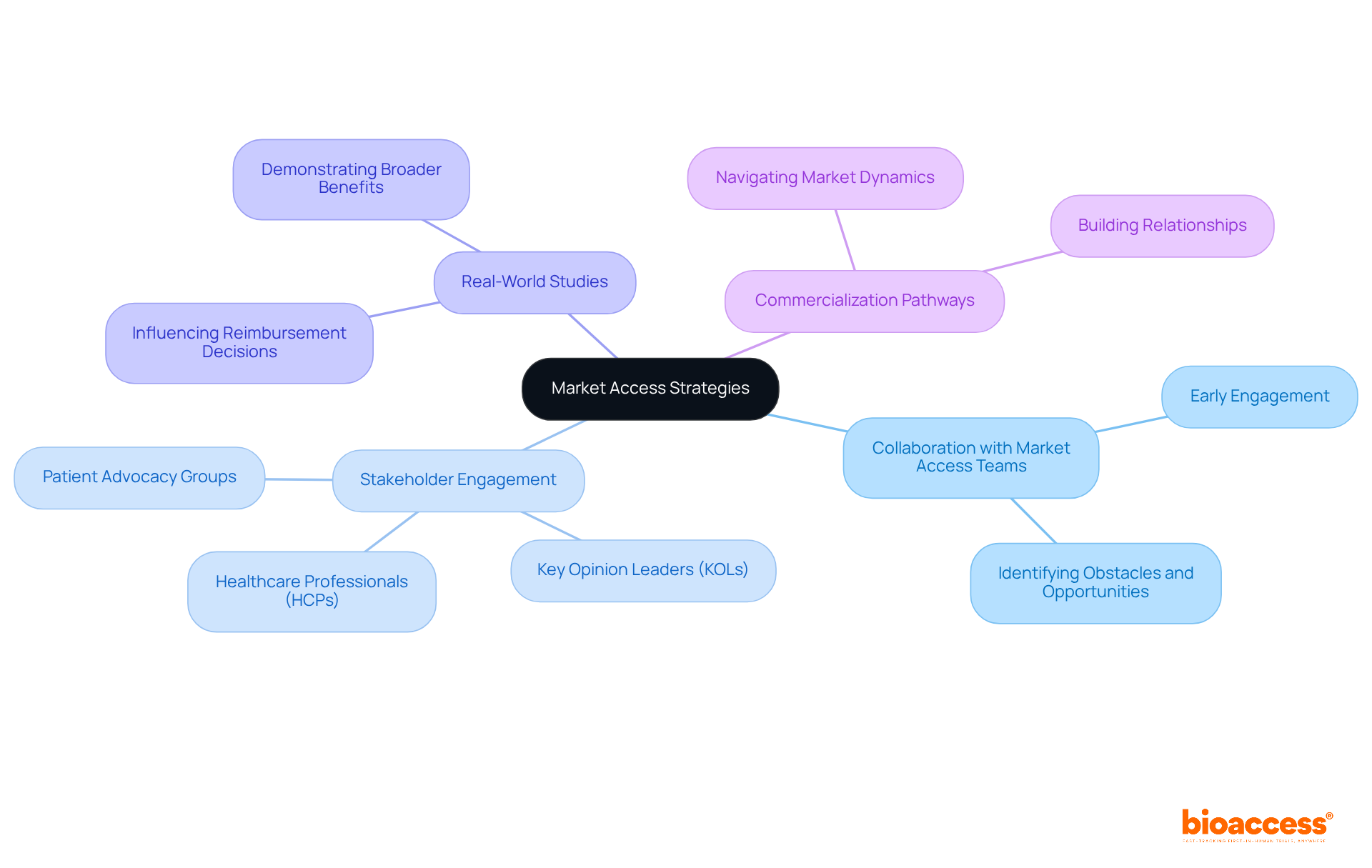 The central node represents the main strategy, while the branches illustrate the various stakeholders and methods involved in successfully bringing products to market. Each branch highlights key relationships and actions that contribute to commercialization success. The central node represents the main strategy, while the branches illustrate the various stakeholders and methods involved in successfully bringing products to market. Each branch highlights key relationships and actions that contribute to commercialization success.
