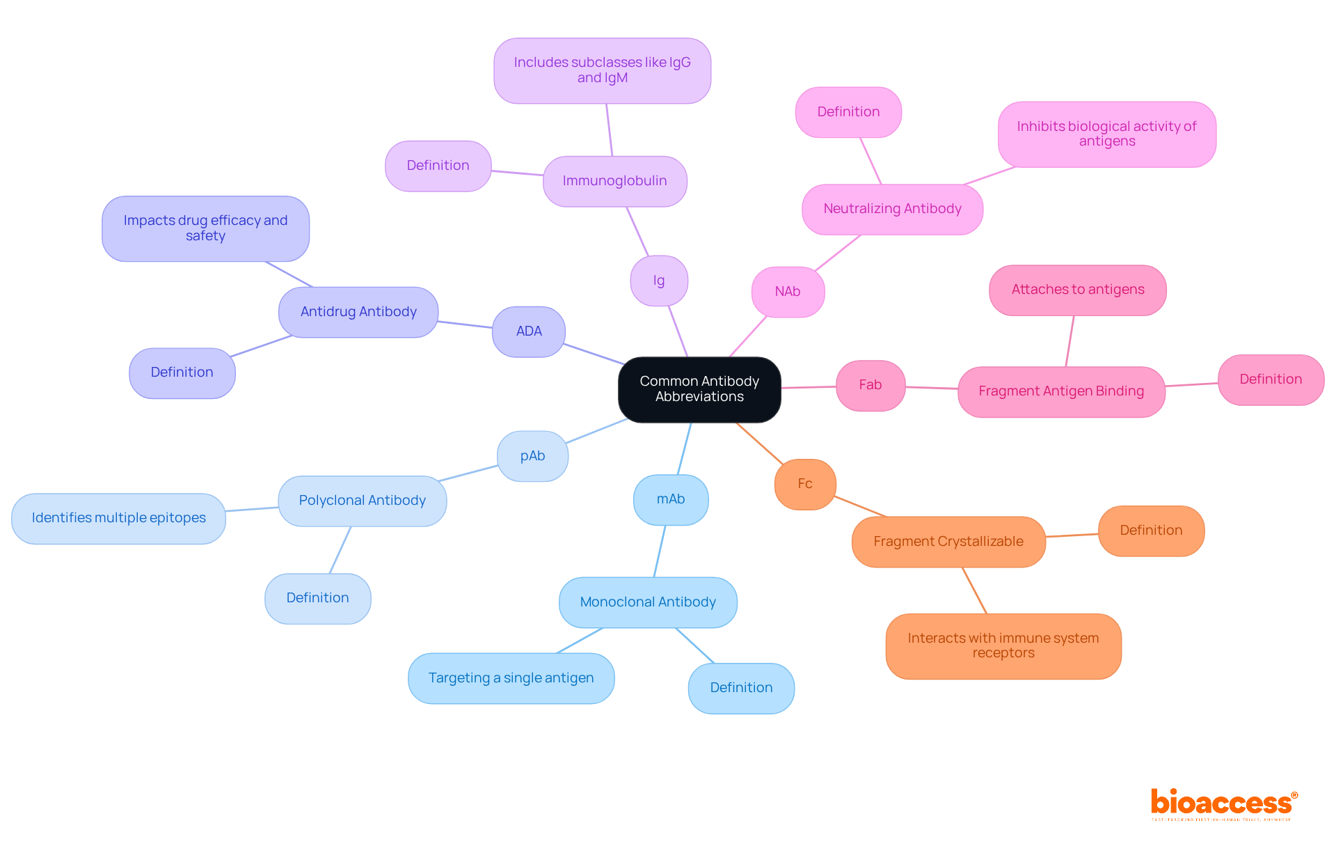 The central node represents the topic of antibody abbreviations. Each branch shows a specific abbreviation and its meaning, helping you quickly understand what each term stands for.