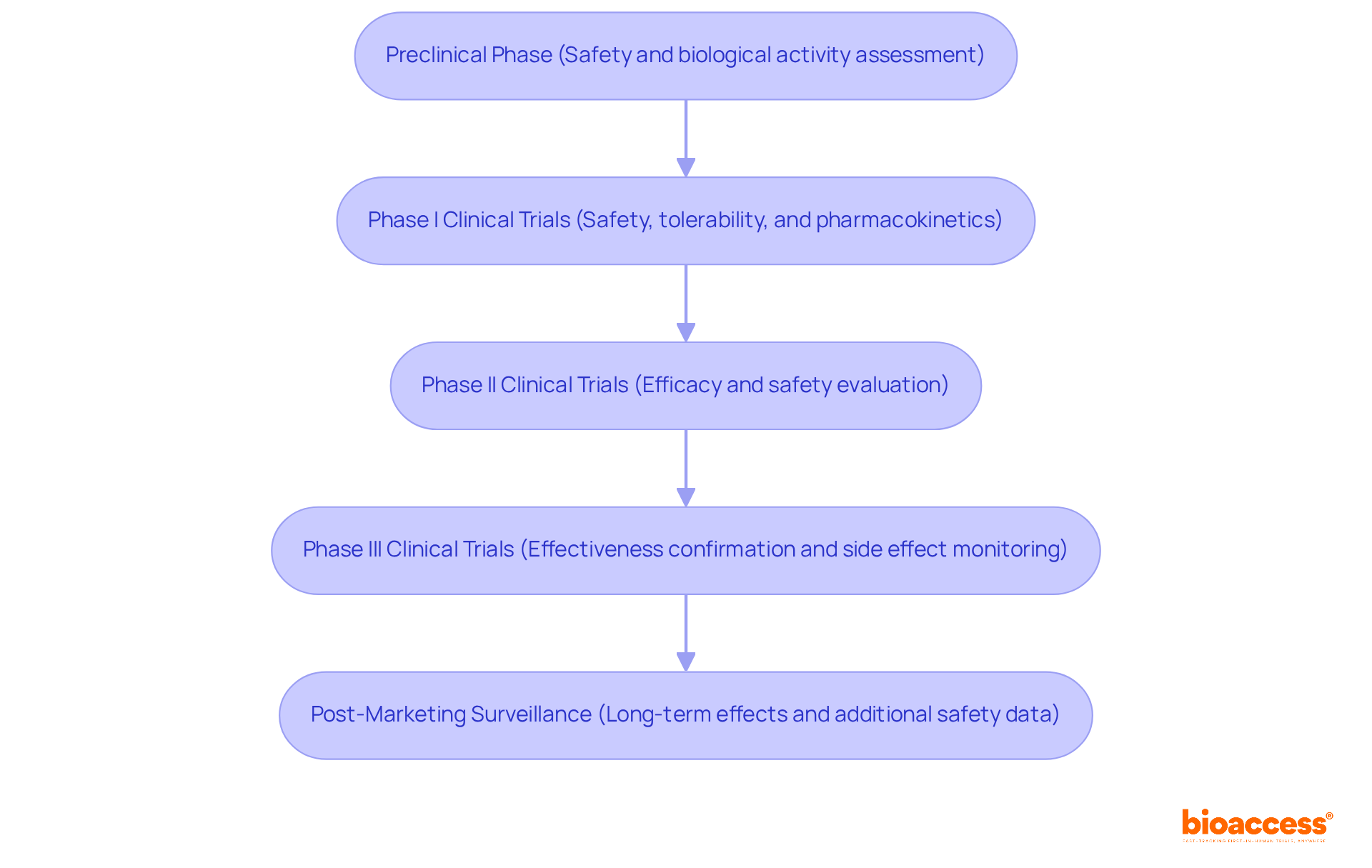 Each box represents a crucial phase in the drug development process. Follow the arrows to see how the phases connect, and read the descriptions to understand the focus of each stage. Each box represents a crucial phase in the drug development process. Follow the arrows to see how the phases connect, and read the descriptions to understand the focus of each stage.