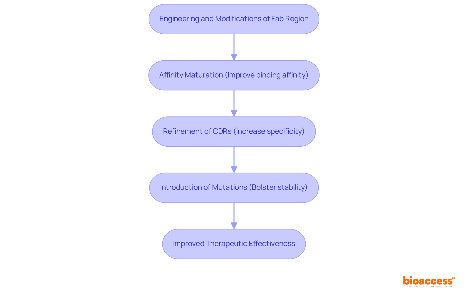 This flowchart maps out the key steps in enhancing antibody effectiveness. Start at the top with the main goal, and follow the arrows down to see how each step builds on the last to improve treatment outcomes.