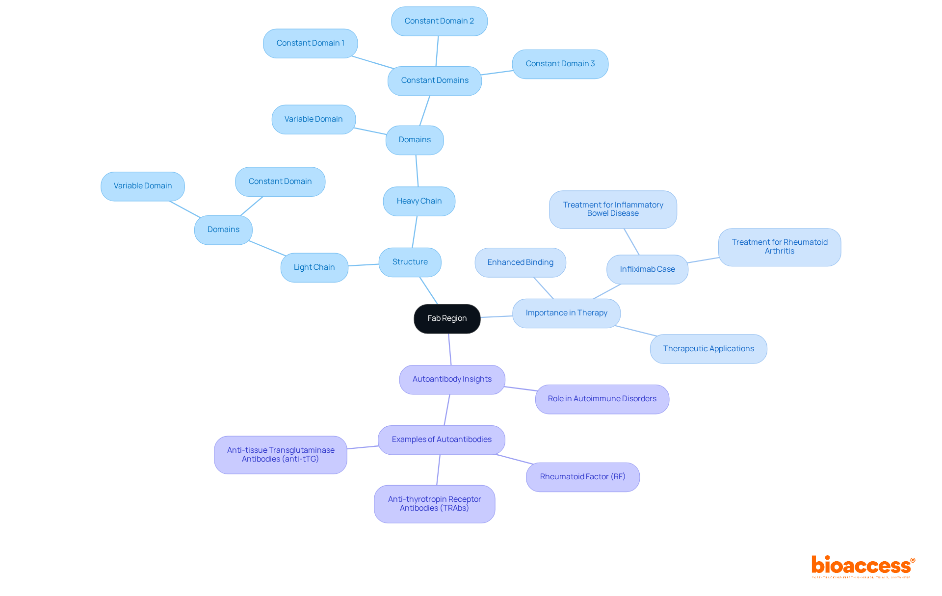 The central node represents the Fab region, with branches showing its structure and significance in therapies. Each sub-point explains specific components or examples, helping you understand how they all connect.