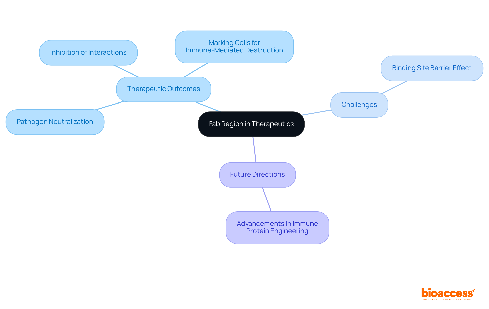 The central node represents the Fab region. The branches show its various roles in therapies, challenges faced, and future advancements. Each branch expands on how the Fab region contributes to therapeutic effectiveness and areas for improvement.