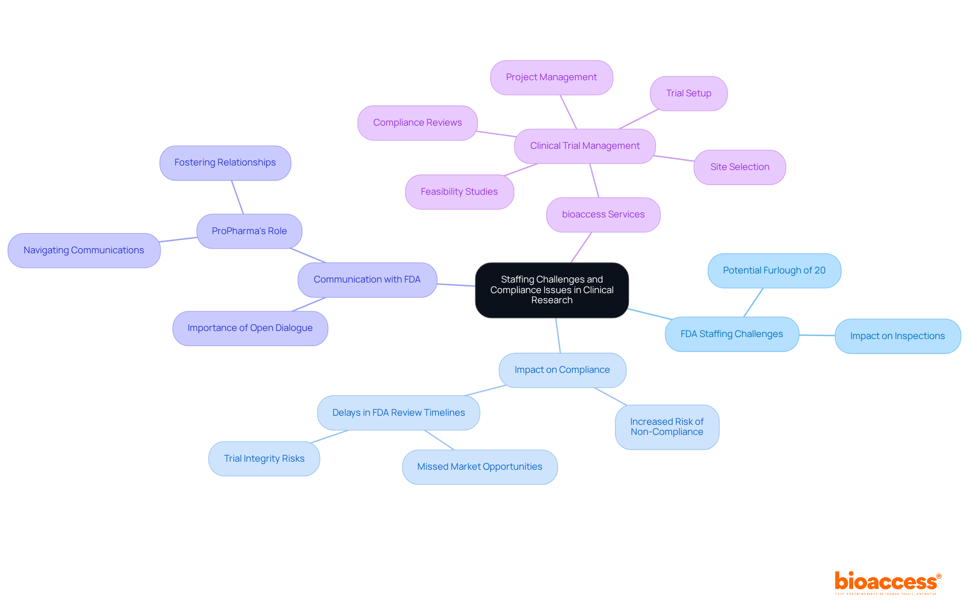 Start at the center with the main topic, then follow the branches to explore each area of concern and the solutions available. Each branch represents a critical aspect of the staffing and compliance landscape, helping to visualize how they interconnect. Start at the center with the main topic, then follow the branches to explore each area of concern and the solutions available. Each branch represents a critical aspect of the staffing and compliance landscape, helping to visualize how they interconnect.