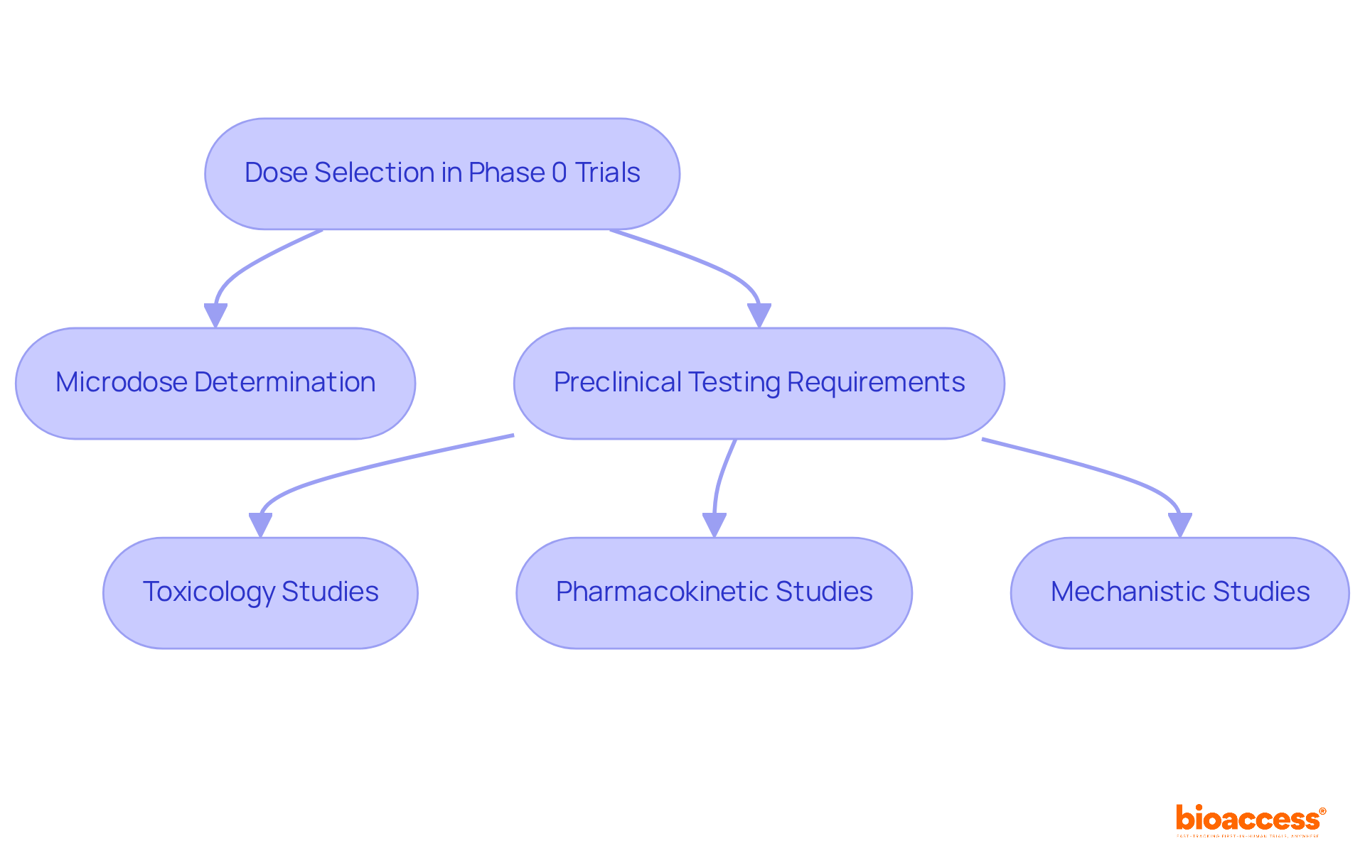 This flowchart shows how dose selection leads to necessary preclinical studies. Each box represents a step in the process — follow the arrows to see the progression from selecting a dose to conducting important safety tests.
