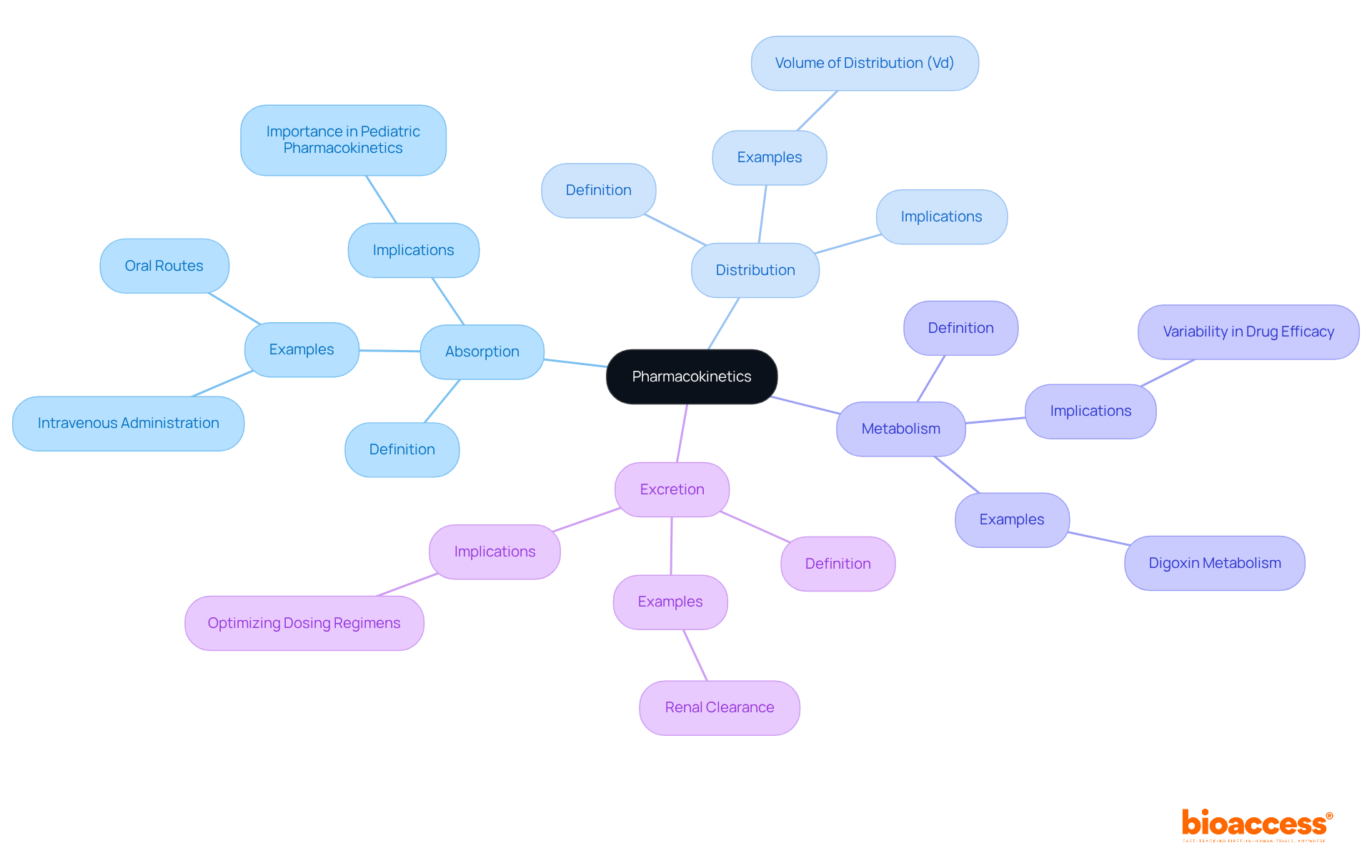 Starting from the center with 'Pharmacokinetics', the branches represent major terms. Follow each branch to find definitions and examples that explain their significance in medication behavior and research.