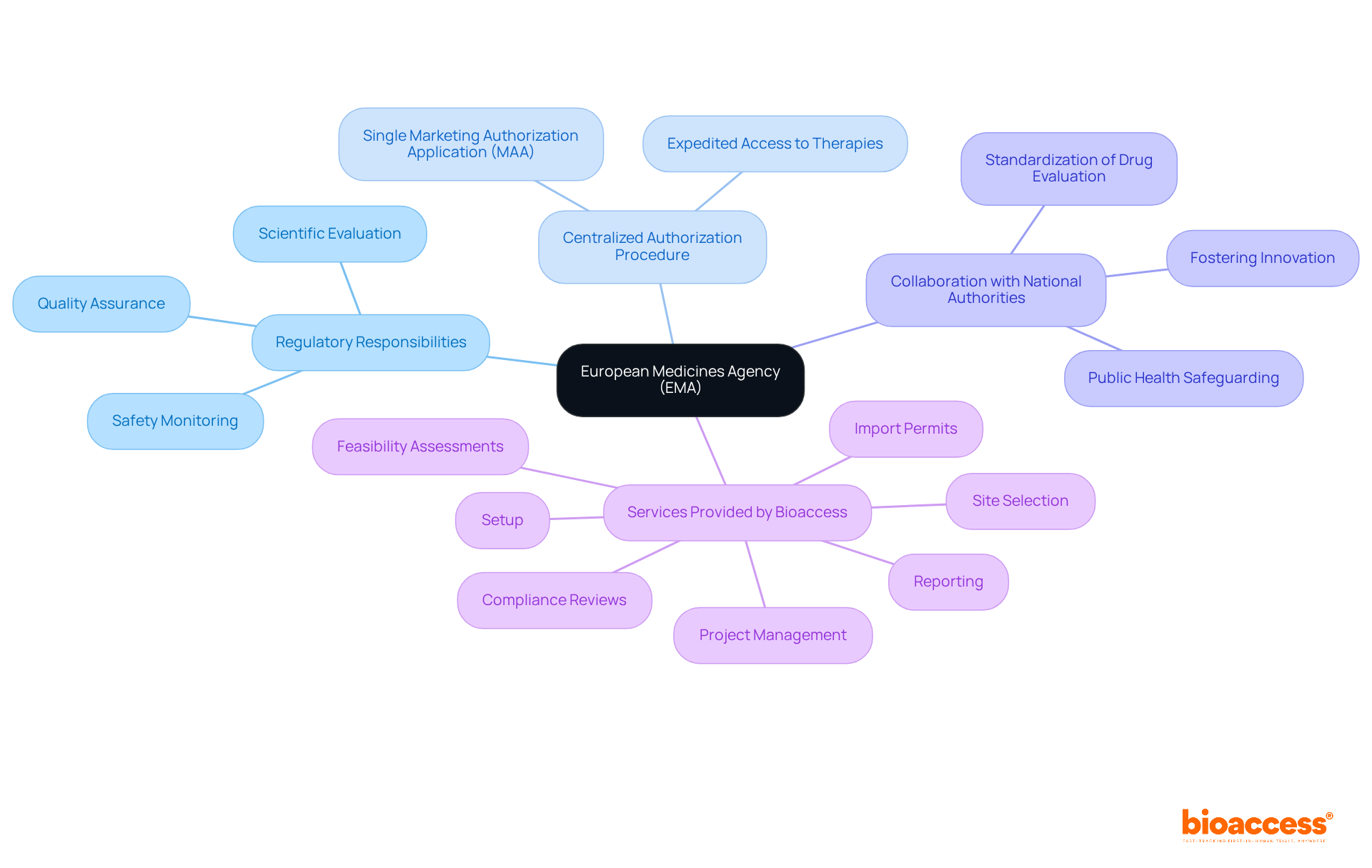 The central node represents the EMA, and the branches show its key roles and the services offered by bioaccess in relation to regulatory compliance. Each branch connects to specific aspects, illustrating how they contribute to ensuring safe and effective medicines in the EU.