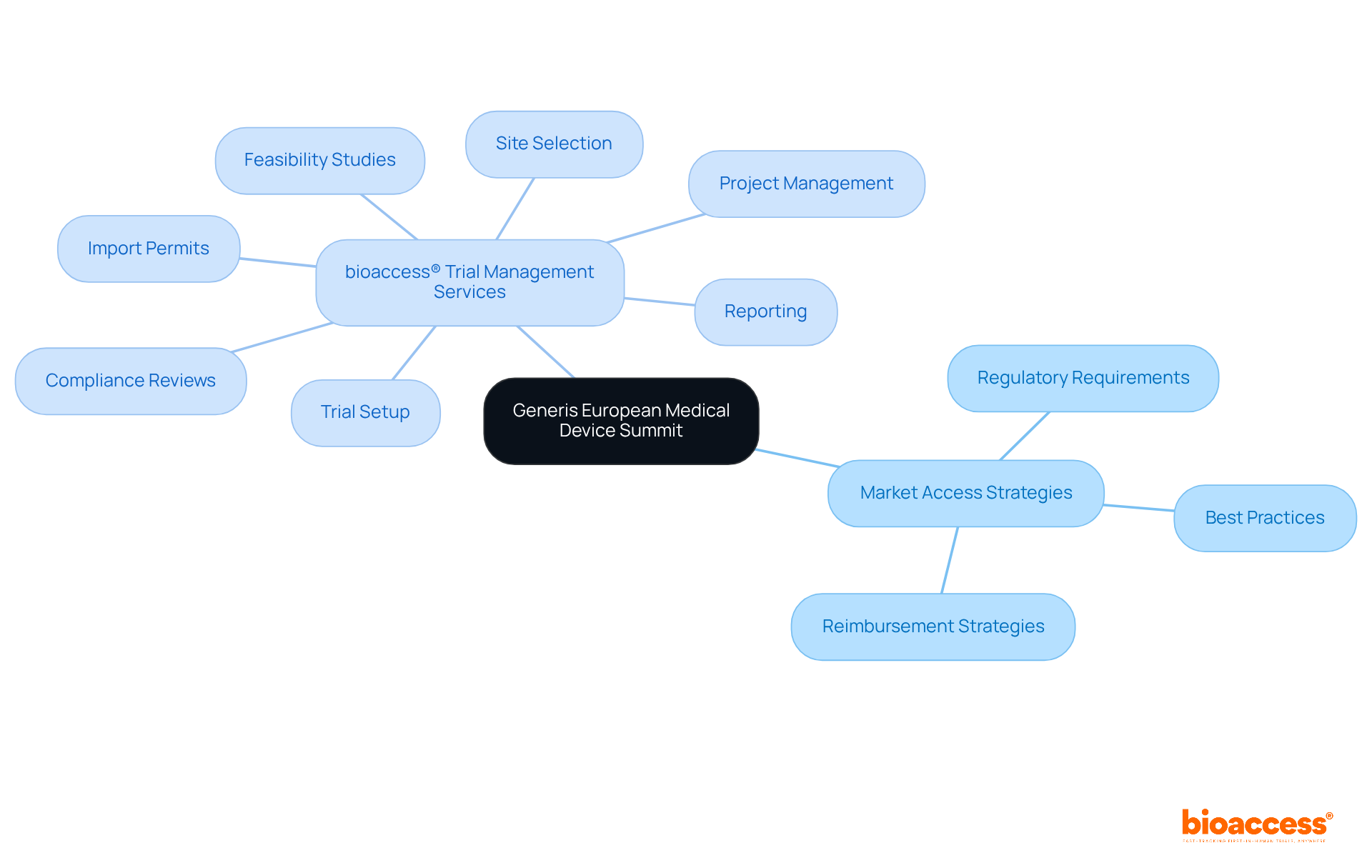 Start with the summit at the center. Each branch shows key strategies or services, helping you see how everything connects in the landscape of market access.