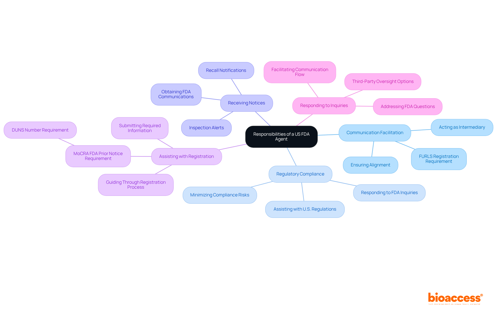 The center shows the primary role of the US FDA Agent, with branches detailing specific responsibilities. Each branch highlights a key function, helping you understand the diverse tasks involved in this important role.