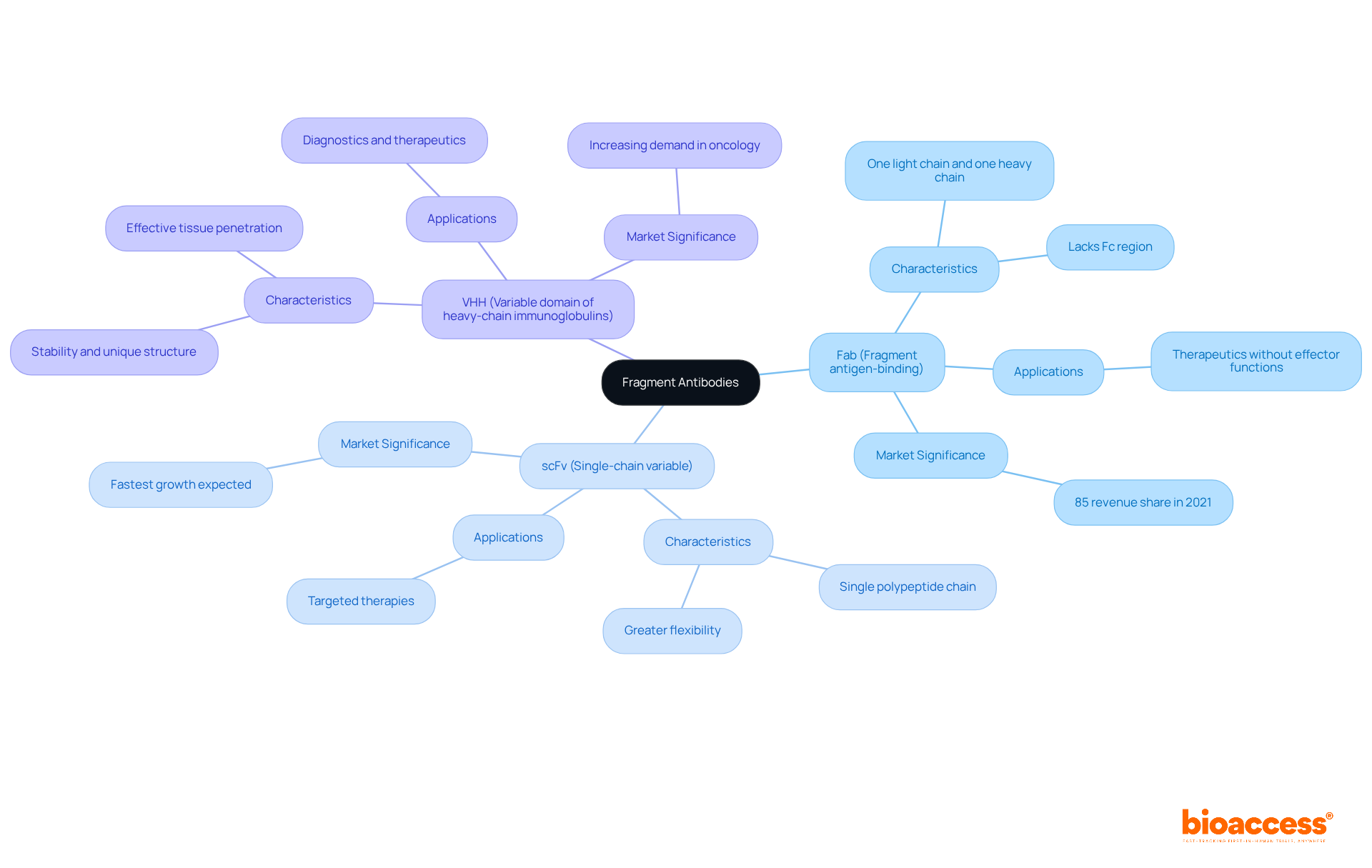 At the center is the main topic of Fragment Antibodies, with branches leading to different types (Fab, scFv, VHH). Each type has its unique properties and uses, making it simpler to see how they relate to the overall field of antibody therapies. At the center is the main topic of Fragment Antibodies, with branches leading to different types (Fab, scFv, VHH). Each type has its unique properties and uses, making it simpler to see how they relate to the overall field of antibody therapies.