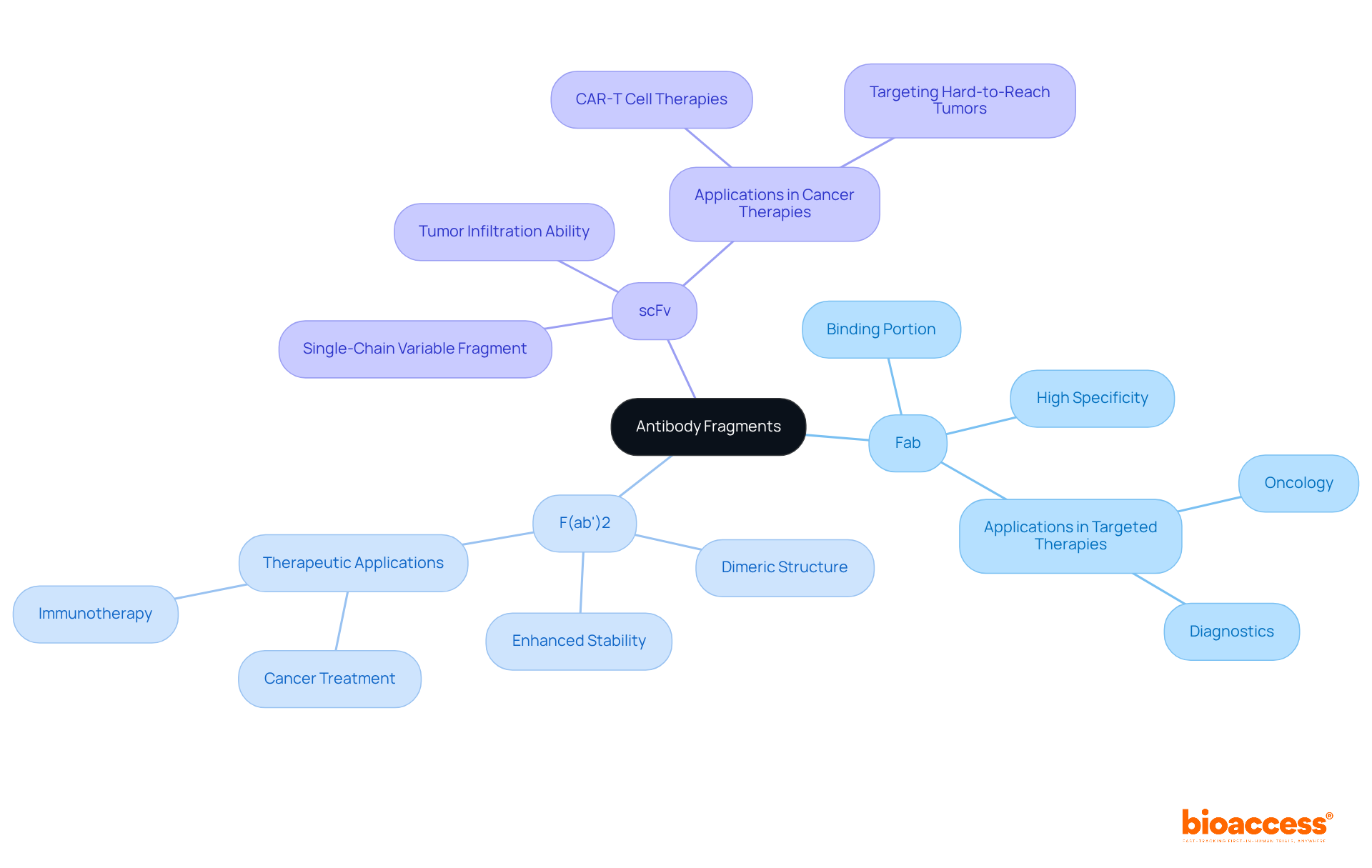 Explore the central concept of antibody fragments and see how each type branches out with specific traits and uses — the more you know, the better you understand their role in modern medicine!