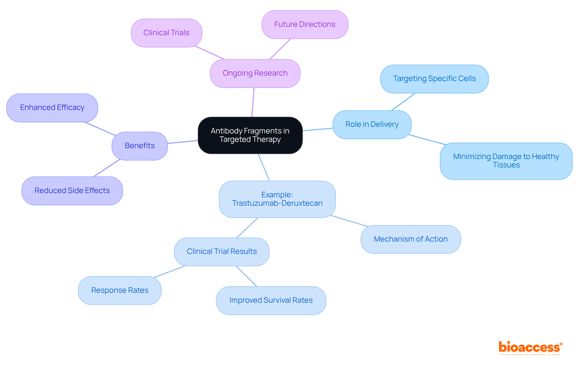 Start at the center to learn about how antibody fragments enhance targeted therapy. Each branch represents a crucial aspect, and sub-branches provide deeper insights into specific examples and benefits.
