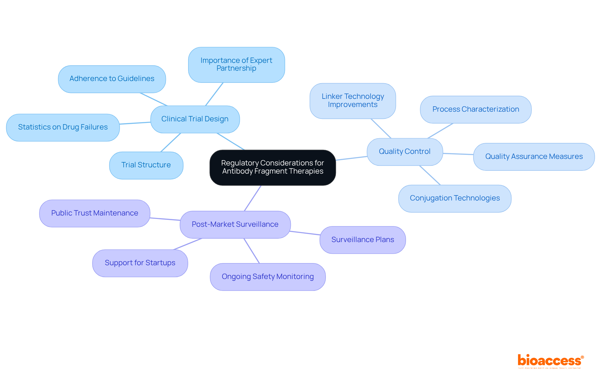 The central node represents the overall theme, while the branches break down critical regulatory areas. Each sub-branch provides specific details that contribute to understanding the complexities involved in antibody fragment therapies.