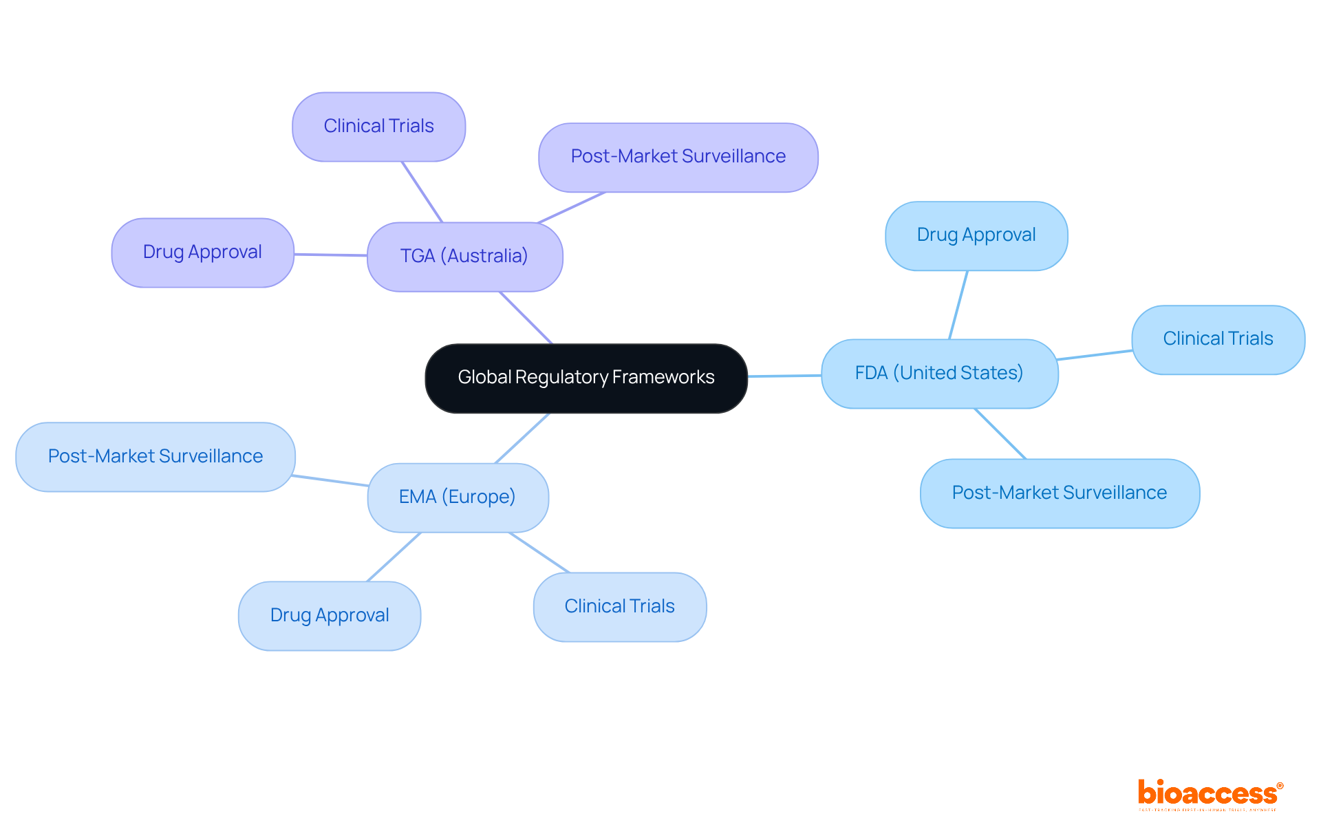 This mindmap shows the essential global regulatory bodies that pharmacy professionals need to be aware of. Each branch represents a different regulatory agency, with further details on their requirements. Follow the branches to see how each body contributes to compliance in the pharmaceutical industry.