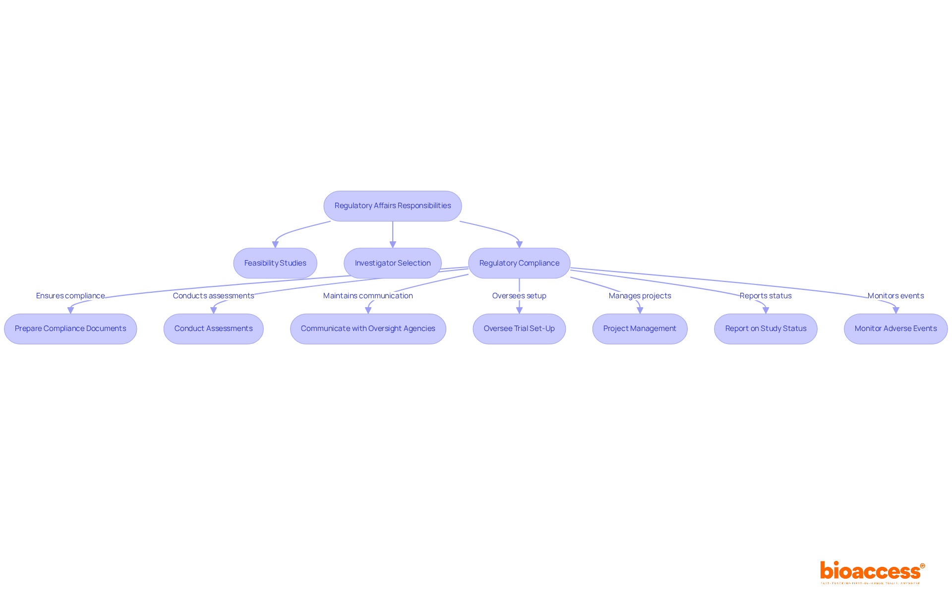 Each box represents a key responsibility in the regulatory process. Follow the arrows to see how these tasks connect and contribute to compliance in the pharmaceutical industry. Each box represents a key responsibility in the regulatory process. Follow the arrows to see how these tasks connect and contribute to compliance in the pharmaceutical industry.