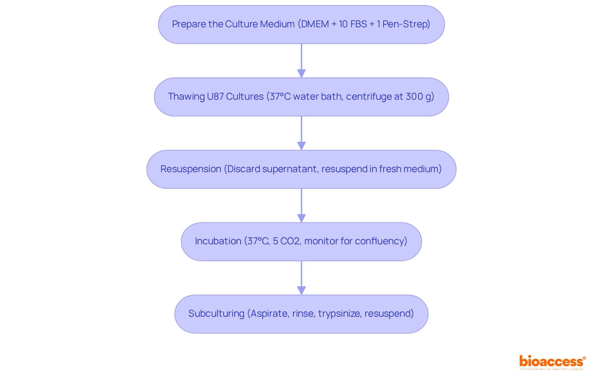 Each box represents a specific step in the cell culture process. Follow the arrows to see how to move from one step to the next, ensuring a successful cultivation of U87 cell lines.