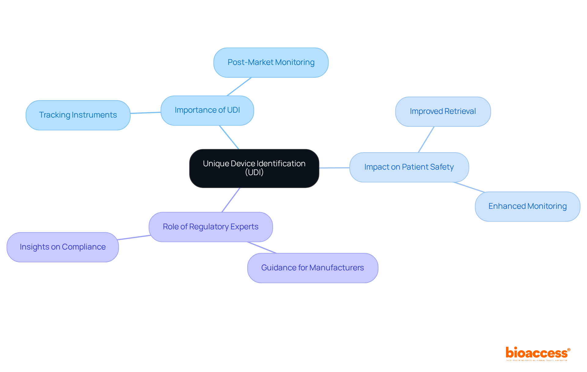 The central node represents the UDI system, with branches showing its significance, benefits for patient safety, and the vital role of experts in ensuring compliance.