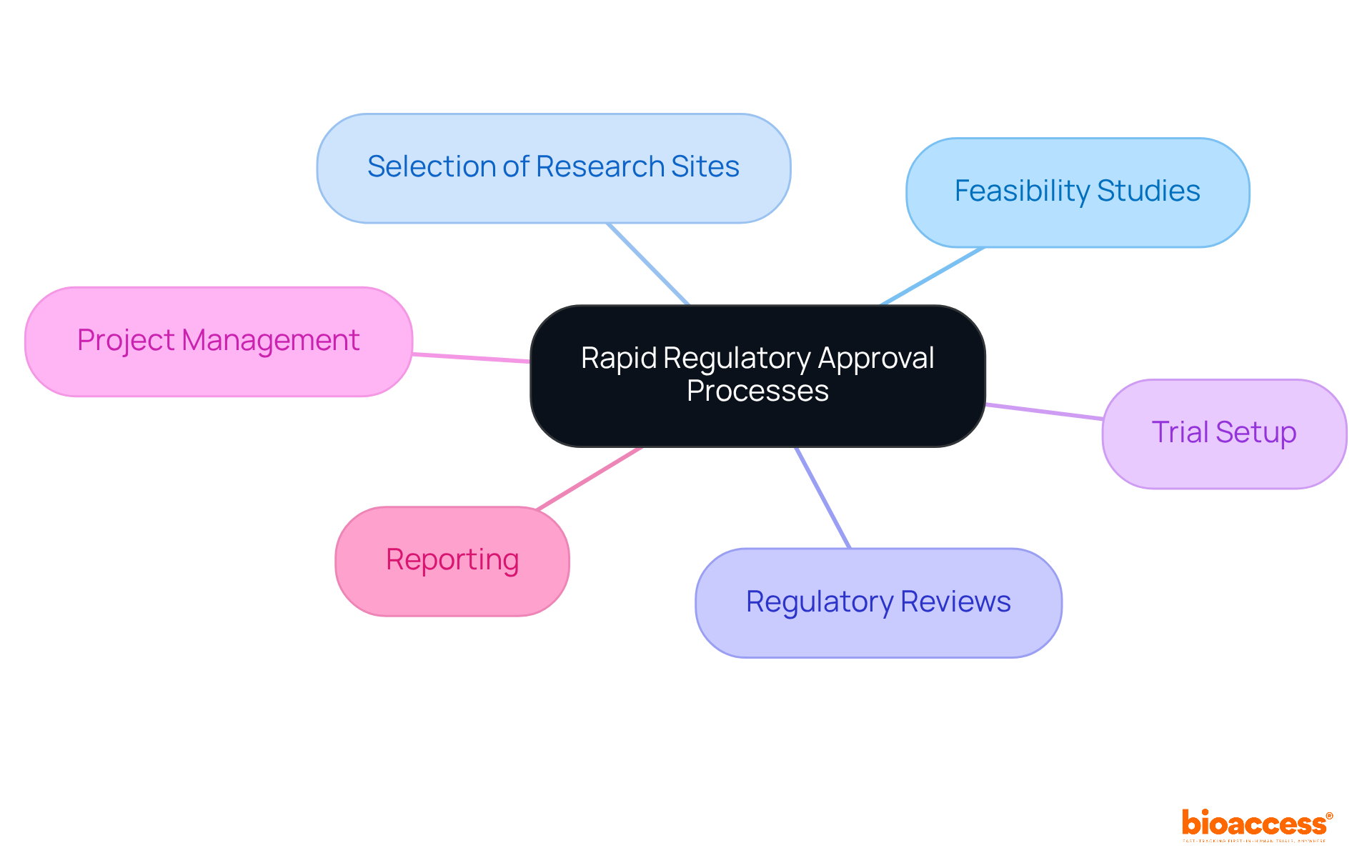The center shows the main focus on regulatory approval processes, and the branches represent the specific consulting services that help achieve this goal. Follow the branches to explore each service in detail.