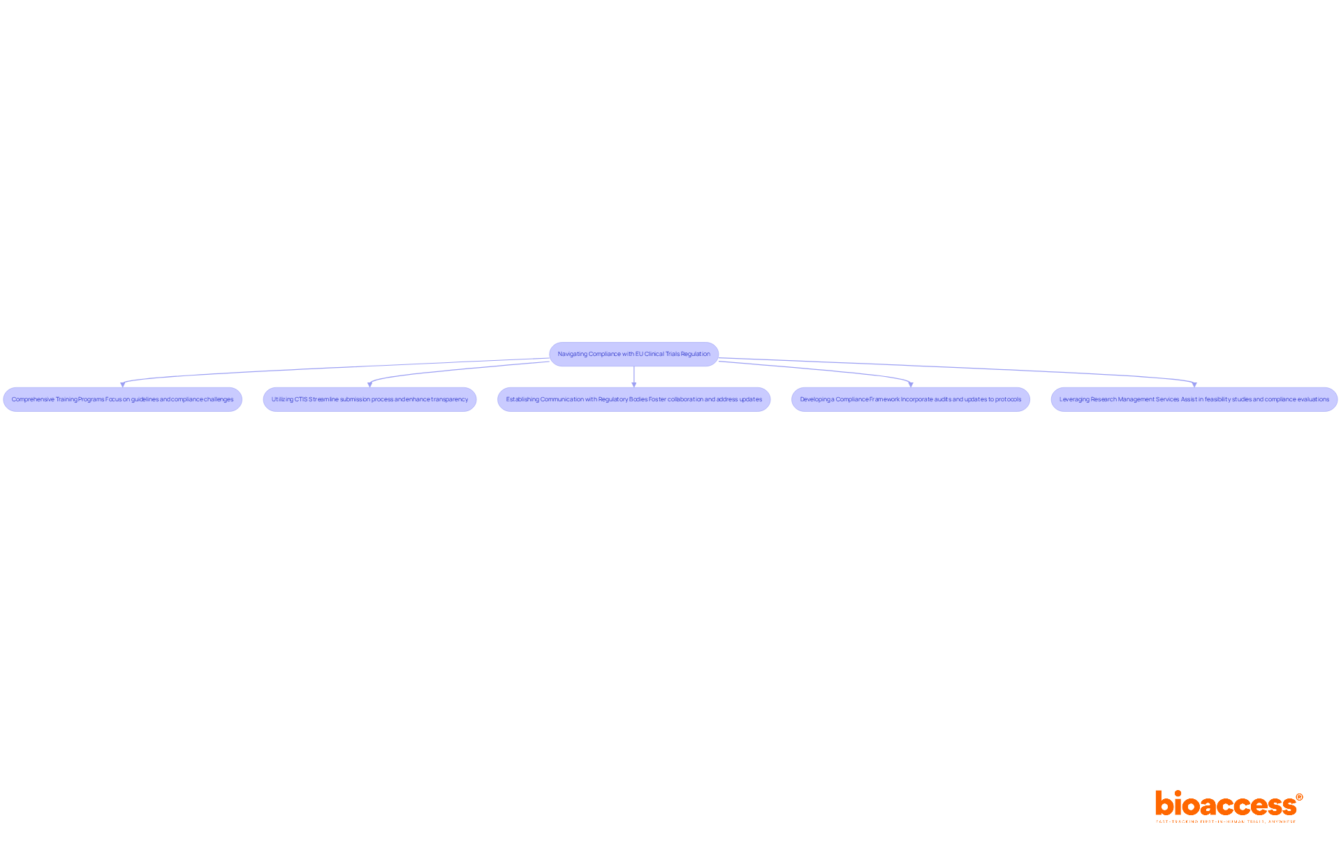 Each box represents a crucial action that sponsors should take to ensure compliance. Follow the arrows to see how these actions connect and contribute to successful navigation of the regulation.