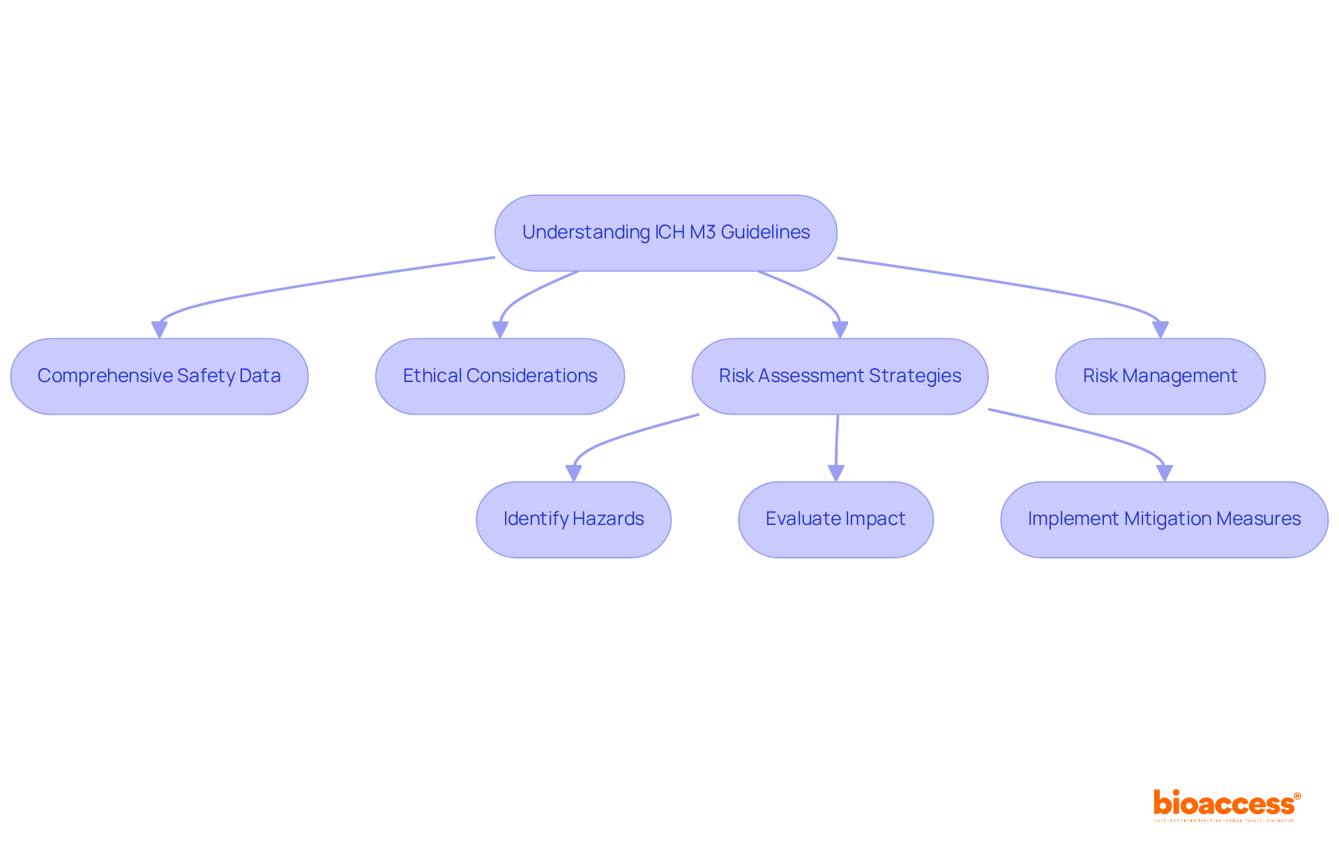 Follow the arrows to understand the steps in applying ICH M3 guidelines. Each box represents an important principle or step in risk management — the flow illustrates how to navigate through these critical areas in clinical research.