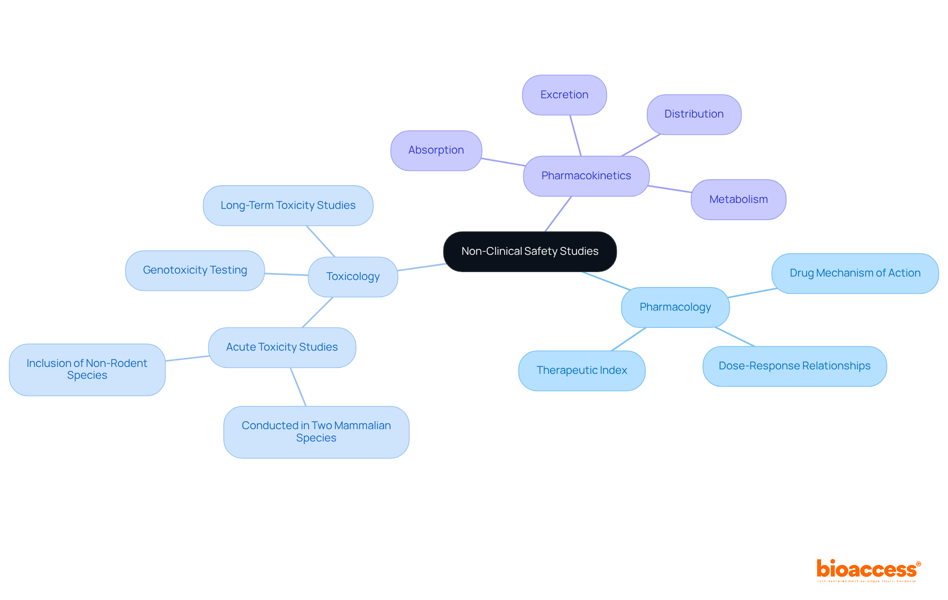 The central node represents the main topic of non-clinical safety studies. The branches indicate critical areas of research, and the sub-branches detail their specific roles in ensuring safety in clinical trials.