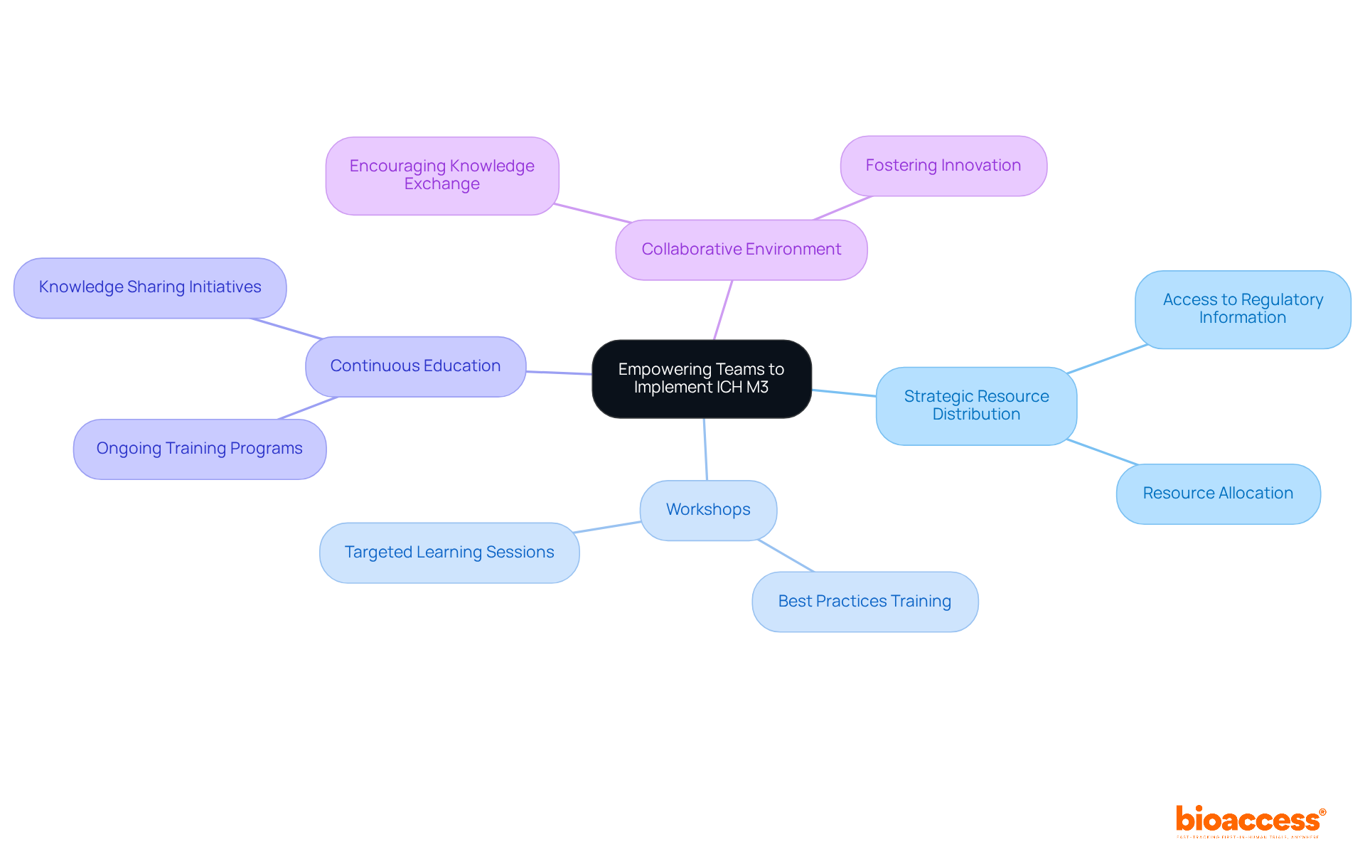 The central node represents the main goal, while the branches outline the strategies and resources needed to achieve effective implementation. Each branch details specific actions or focus areas that support the overarching aim.