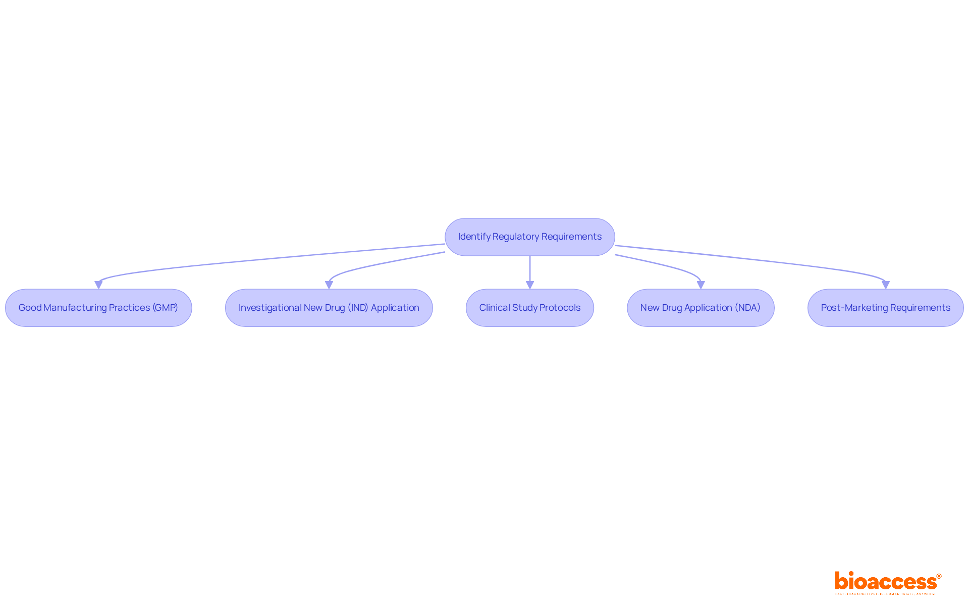 This flowchart outlines the key components necessary for drug approval, starting with general regulatory requirements and leading through each significant step in the process. Each box represents a crucial part of the journey, showing how they connect and contribute to compliance and safety.