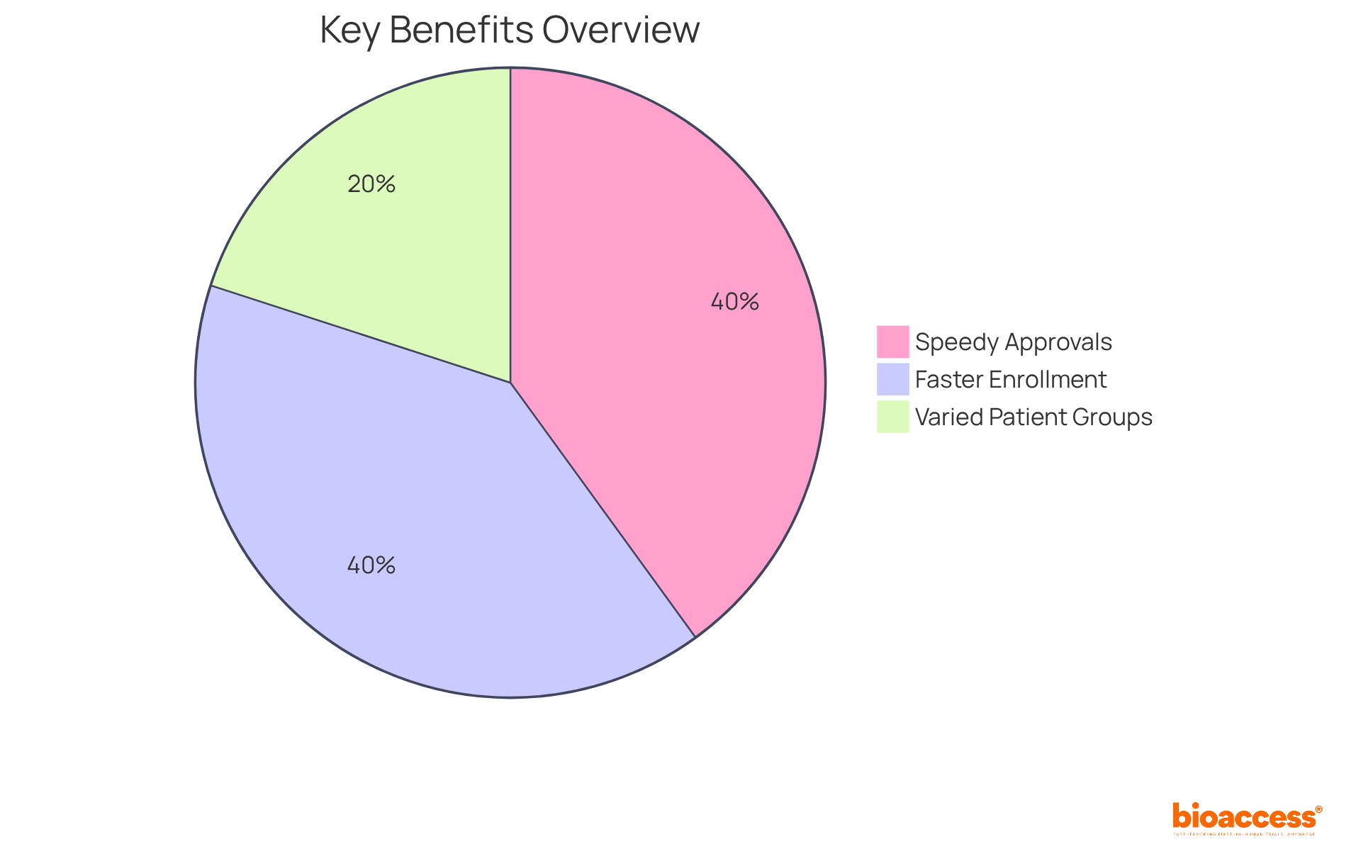 Each segment of the pie chart represents a key benefit of using bioaccess® services. The larger the segment, the more significant that benefit is in accelerating clinical trials.