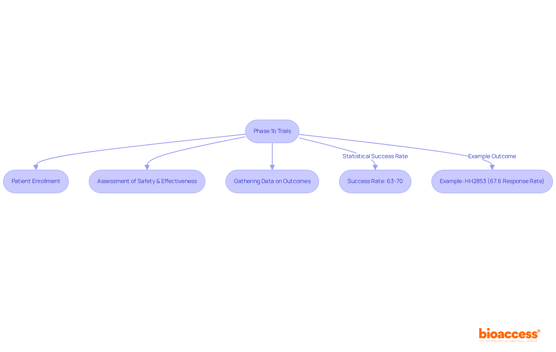 This flowchart outlines the key steps in Phase 1b trials, from enrollment through assessment, along with important statistics that highlight the success of these trials in drug development.