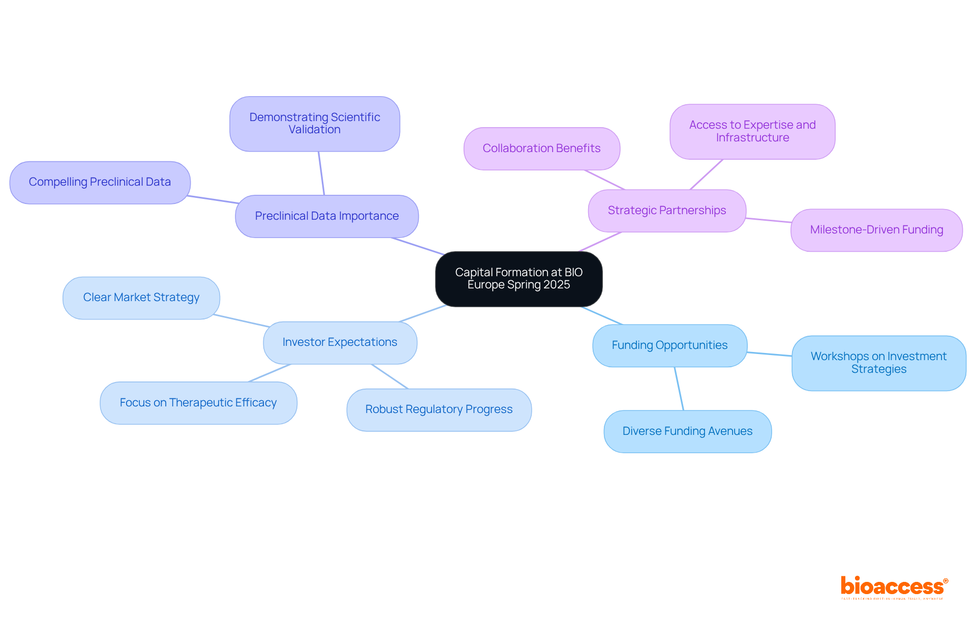 The central node represents the main topic of capital formation. Each branch represents different themes or strategies related to funding, with sub-branches providing further details. This structure helps to visualize the relationships and importance of each aspect in the context of startup funding.
