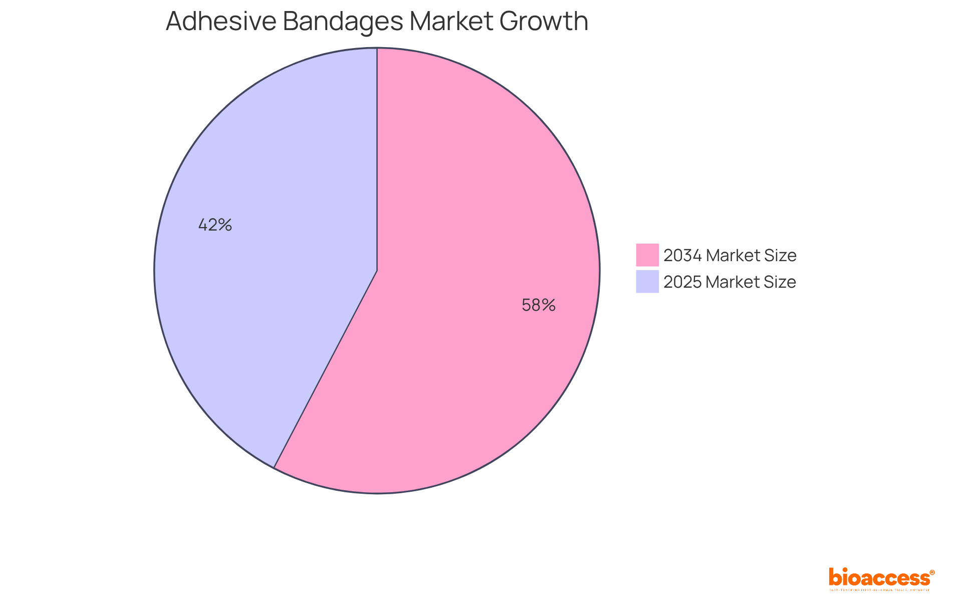 Each slice shows the projected market size for adhesive bandages in different years — the larger the slice, the bigger the expected market value.