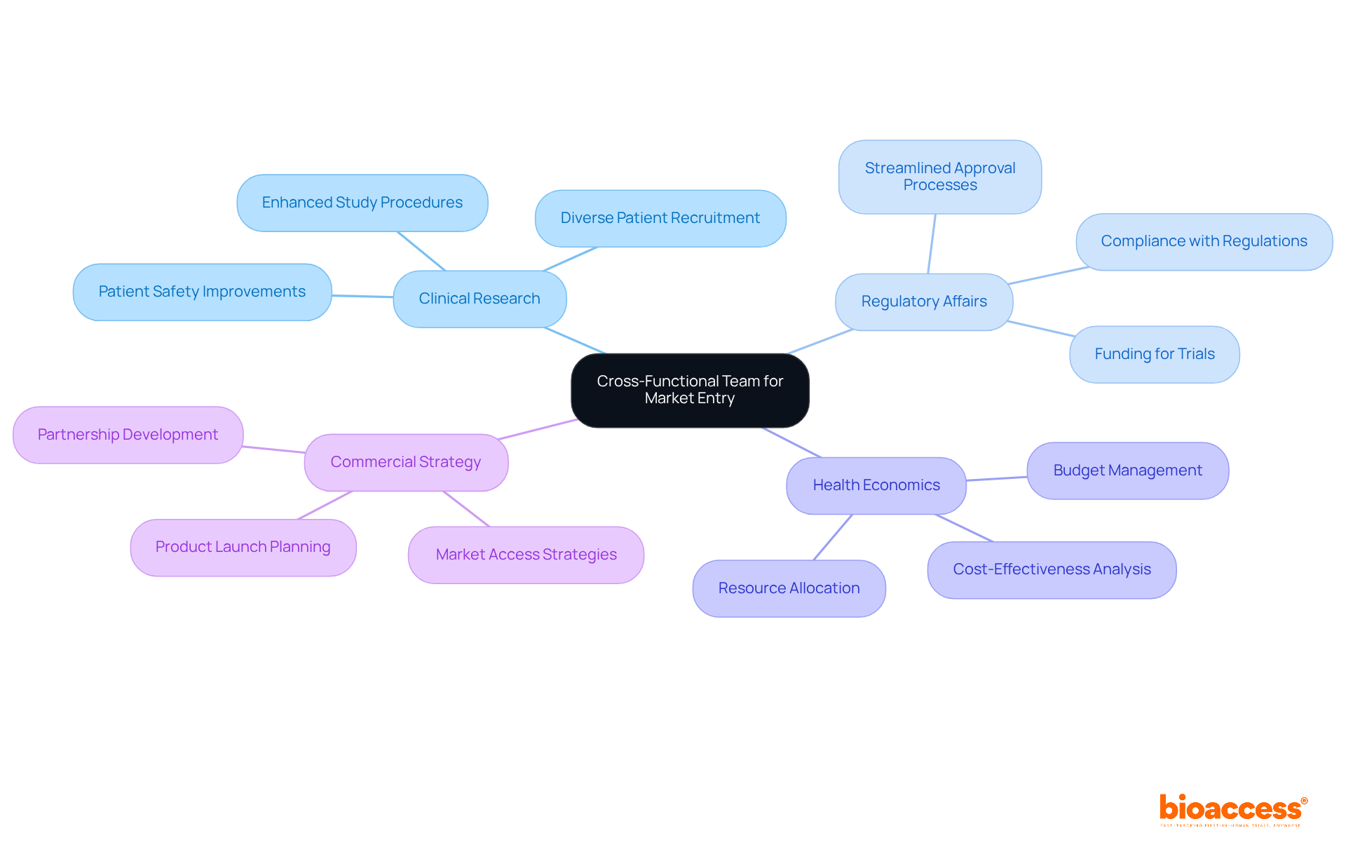 The central idea is the importance of a diverse team. Each branch represents a field of expertise, showing how they contribute to a successful market entry strategy. The central idea is the importance of a diverse team. Each branch represents a field of expertise, showing how they contribute to a successful market entry strategy.