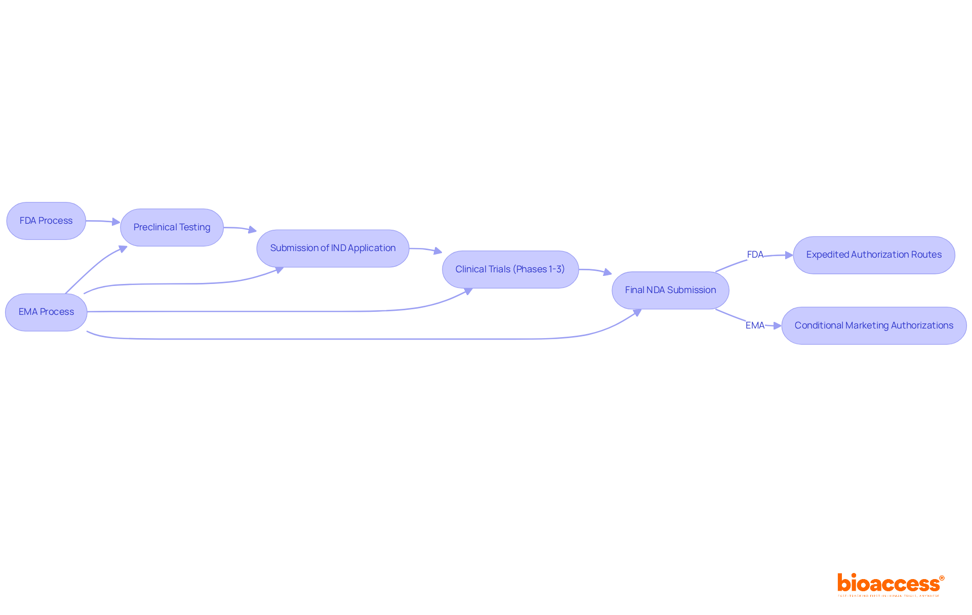 Follow the paths to see how the FDA and EMA each guide drugs through the approval process. The boxes represent stages, and the arrows show the order of steps. Special notes highlight key differences in their approaches. Follow the paths to see how the FDA and EMA each guide drugs through the approval process. The boxes represent stages, and the arrows show the order of steps. Special notes highlight key differences in their approaches.