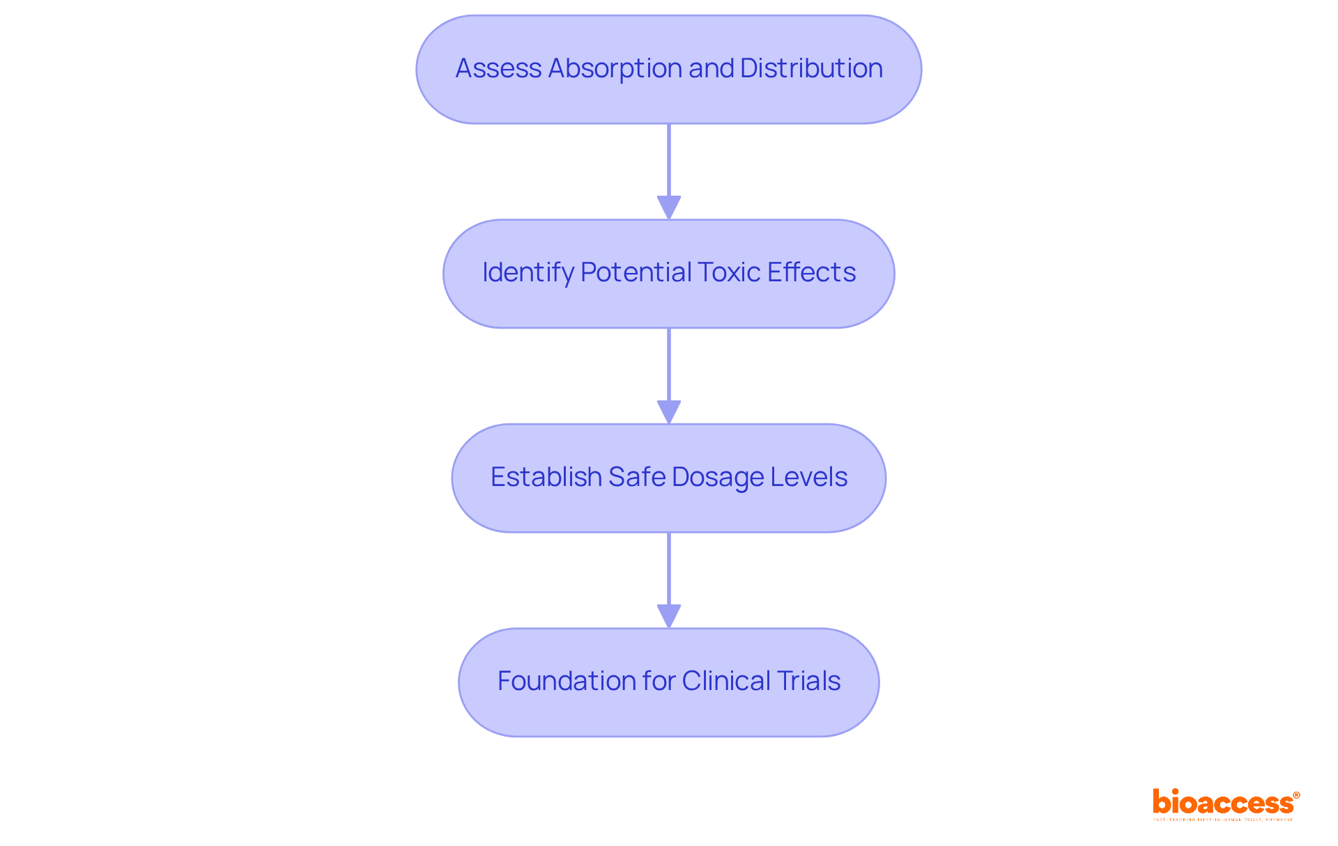 Each box represents a critical step in the drug development process. Follow the arrows to see how each step builds on the previous one to ensure safety and effectiveness before clinical trials.