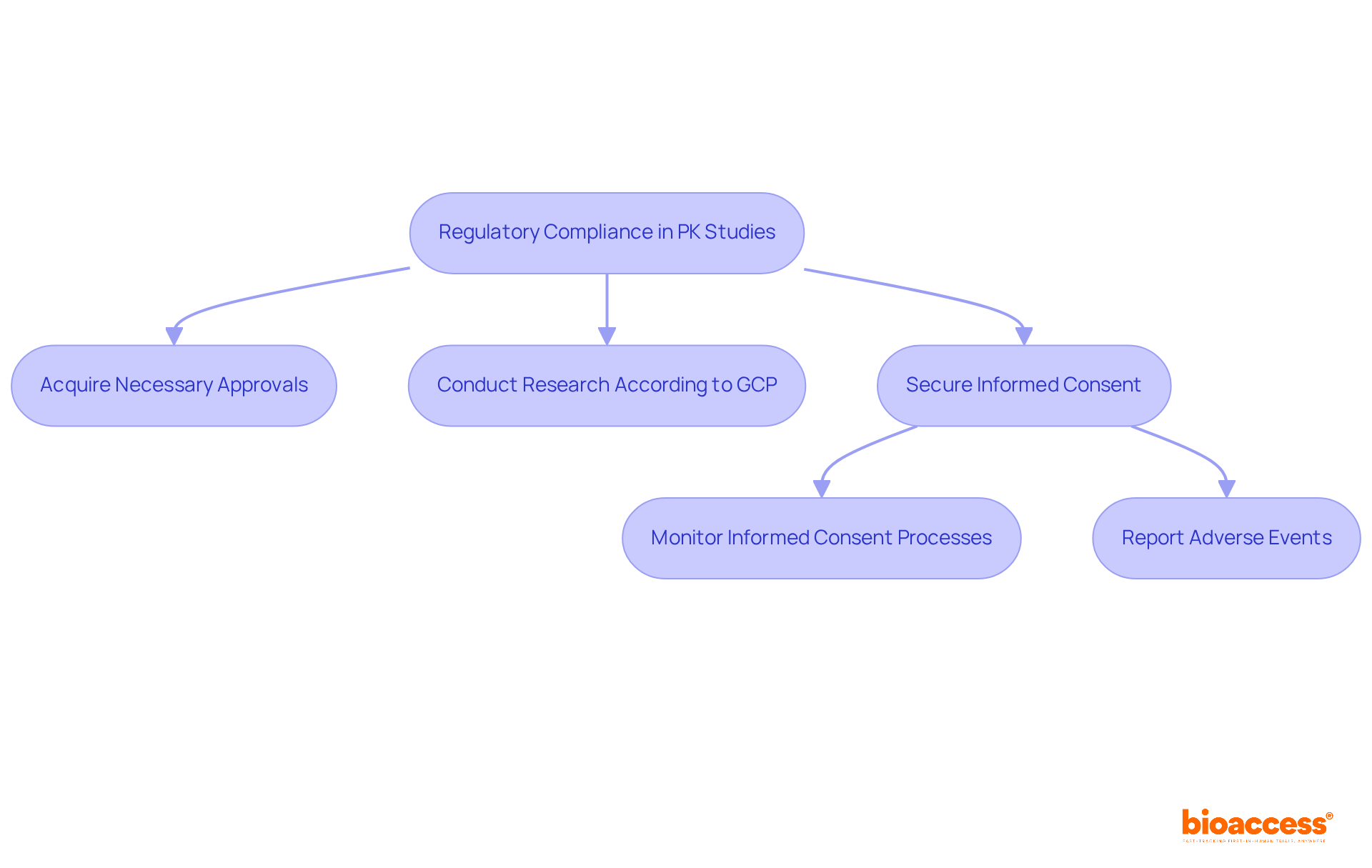 Each box represents a crucial step in the compliance process; follow the arrows to see how they connect and emphasize the importance of each action in maintaining ethical standards.