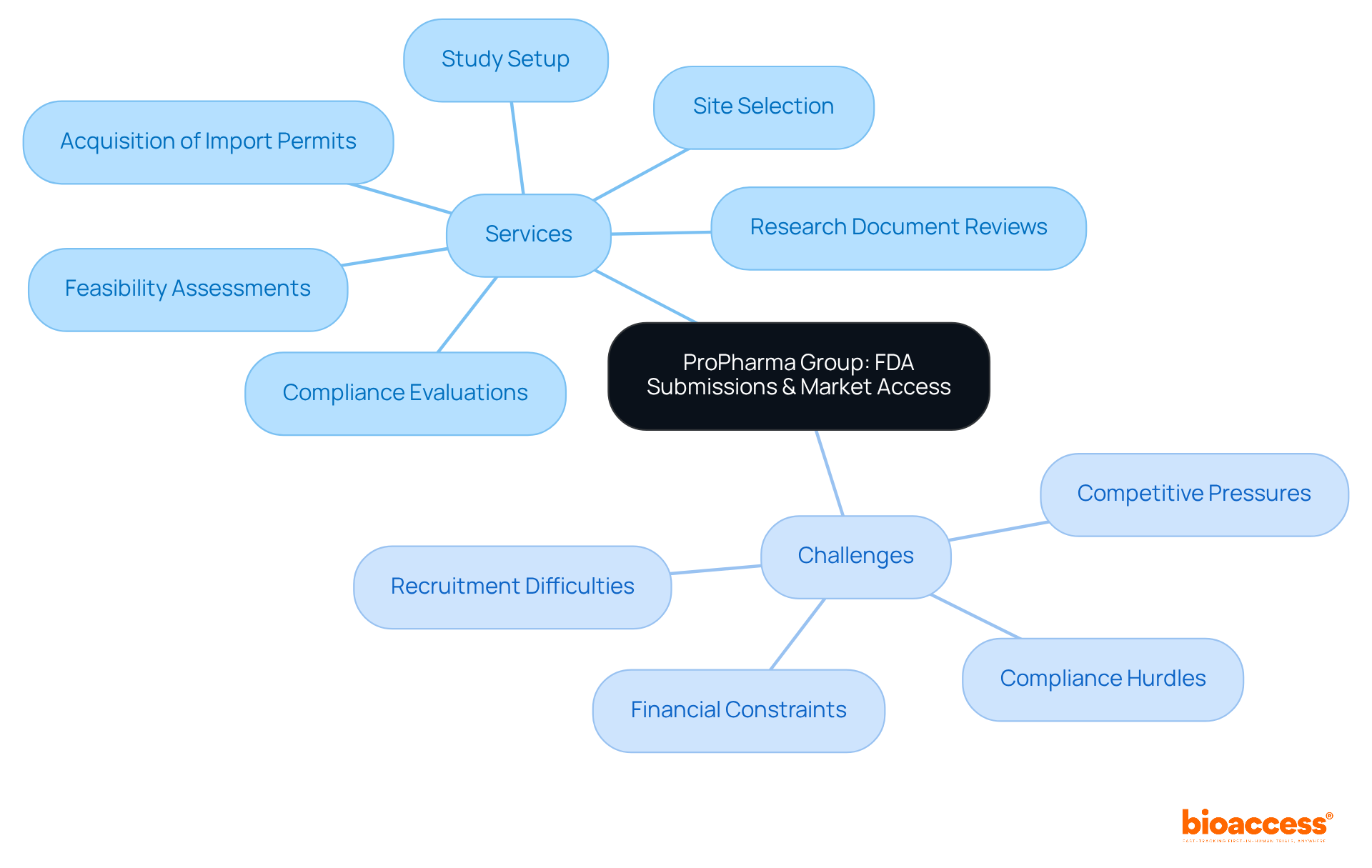 The center represents the main focus of Bioaccess, while the branches show the specific services they offer and the challenges startups face. Each branch helps visualize how these elements connect to the overall goal of facilitating market access. The center represents the main focus of Bioaccess, while the branches show the specific services they offer and the challenges startups face. Each branch helps visualize how these elements connect to the overall goal of facilitating market access.