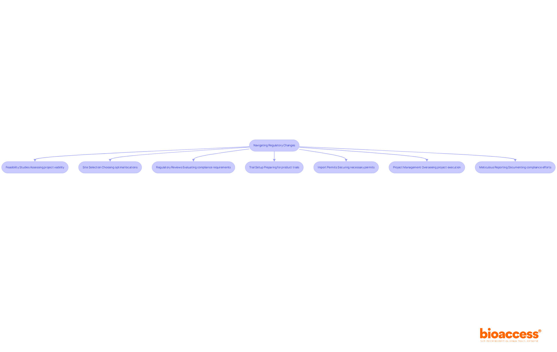 Each box represents a crucial step in the compliance process. Follow the arrows to see how these services connect to help businesses adapt to regulatory changes. Each box represents a crucial step in the compliance process. Follow the arrows to see how these services connect to help businesses adapt to regulatory changes.