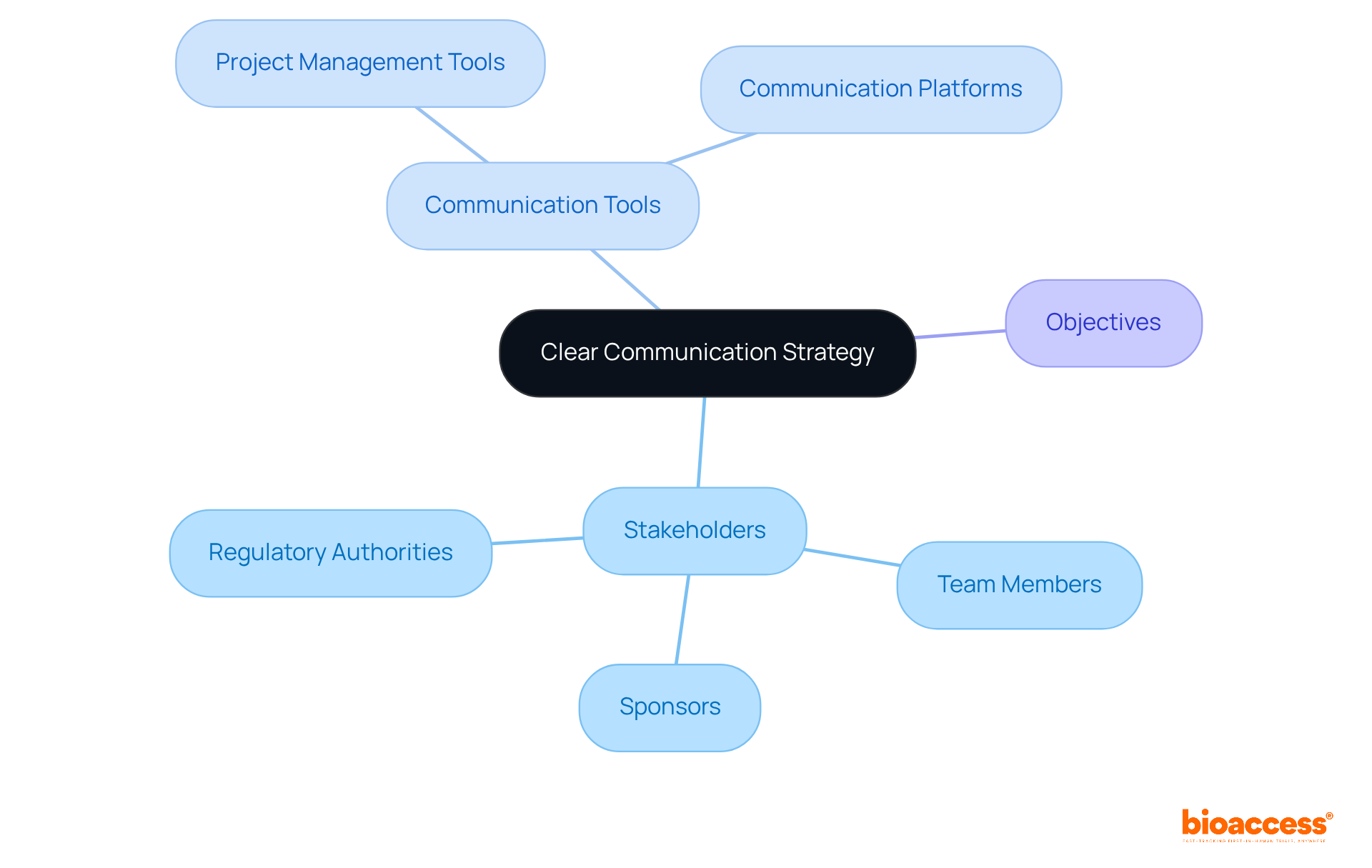 The center shows the main strategy, and the branches highlight who is involved and how they communicate. Each color represents a different aspect of the strategy, making it easy to follow.
