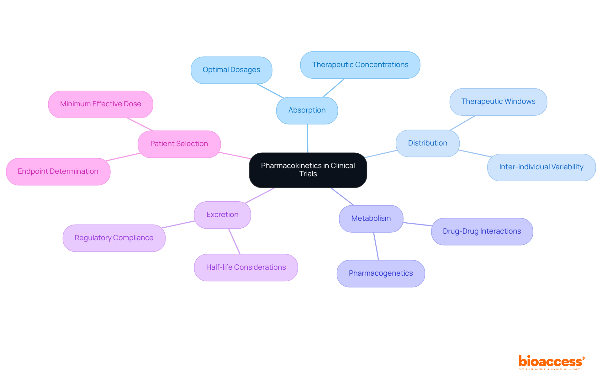 The central node represents the main topic of pharmacokinetics, while the branches illustrate the key processes and their significance in designing effective clinical trials. Follow the branches to understand how each process influences pharmaceutical development.