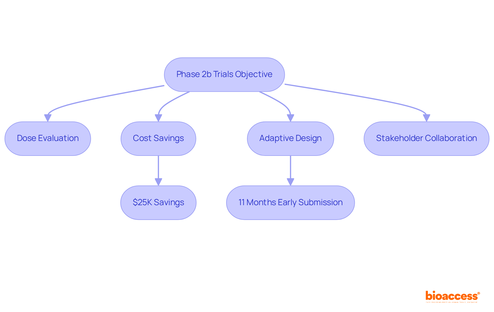 This flowchart outlines the key objectives and processes in Phase 2b trials. Each step shows how different aspects contribute to the overall goal of optimizing treatment effectiveness and trial efficiency.