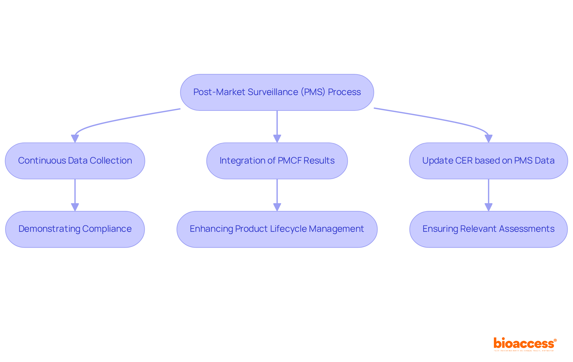 Follow the arrows to see how the PMS process flows into various steps, each crucial for ensuring product safety and compliance. Each box represents a key action or consideration in the overall process. Follow the arrows to see how the PMS process flows into various steps, each crucial for ensuring product safety and compliance. Each box represents a key action or consideration in the overall process.