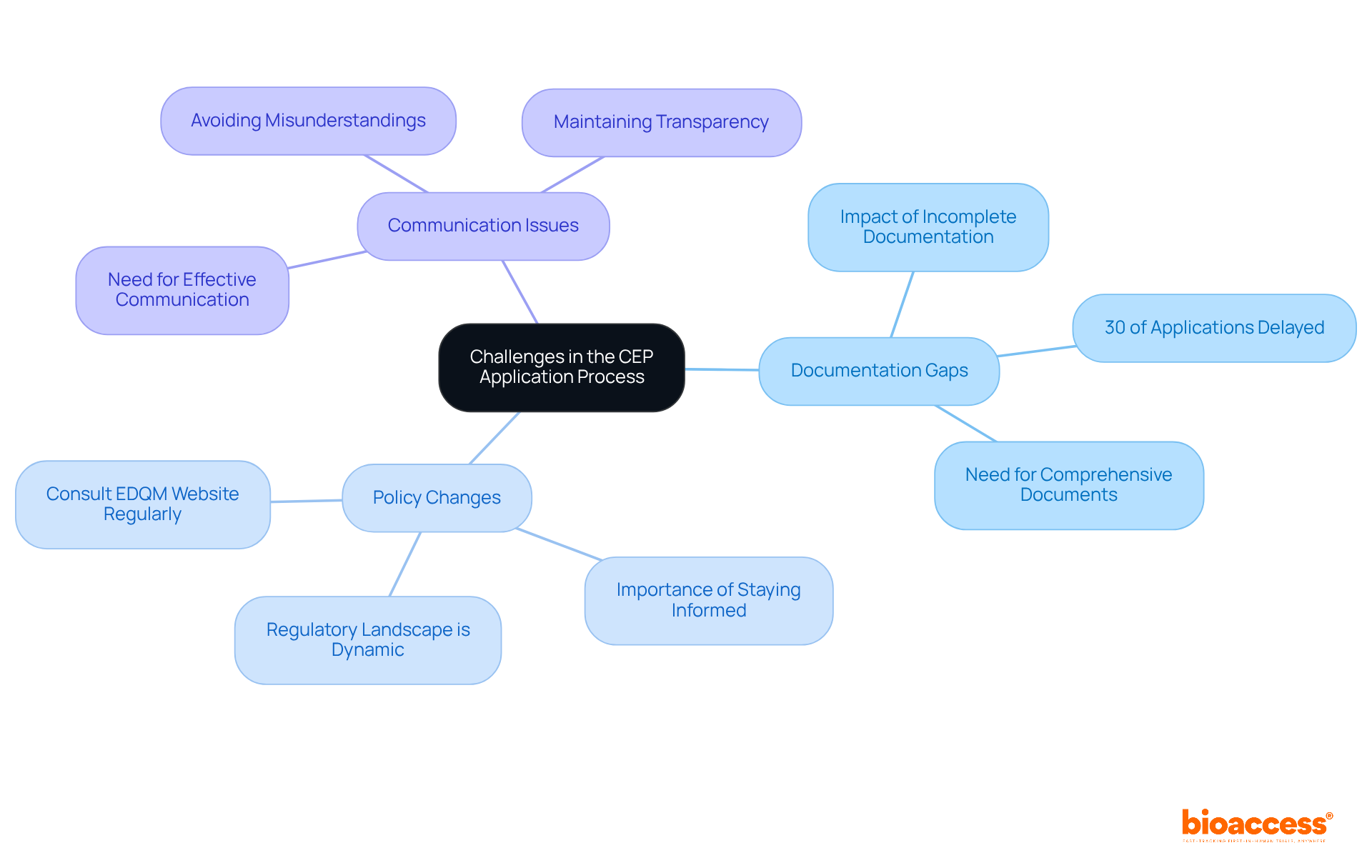 The central node represents the overall theme, and the branches illustrate specific challenges faced during the application process. Each branch can be explored to understand the details of each challenge. The central node represents the overall theme, and the branches illustrate specific challenges faced during the application process. Each branch can be explored to understand the details of each challenge.