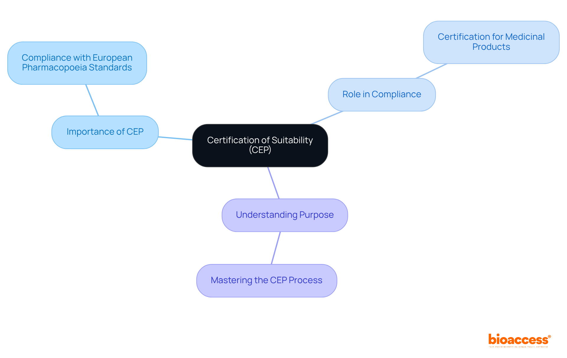 At the center, you have the CEP. Each branch expands on its importance, role, and understanding purpose. Follow the branches to see how they relate to the overall certification process. At the center, you have the CEP. Each branch expands on its importance, role, and understanding purpose. Follow the branches to see how they relate to the overall certification process.