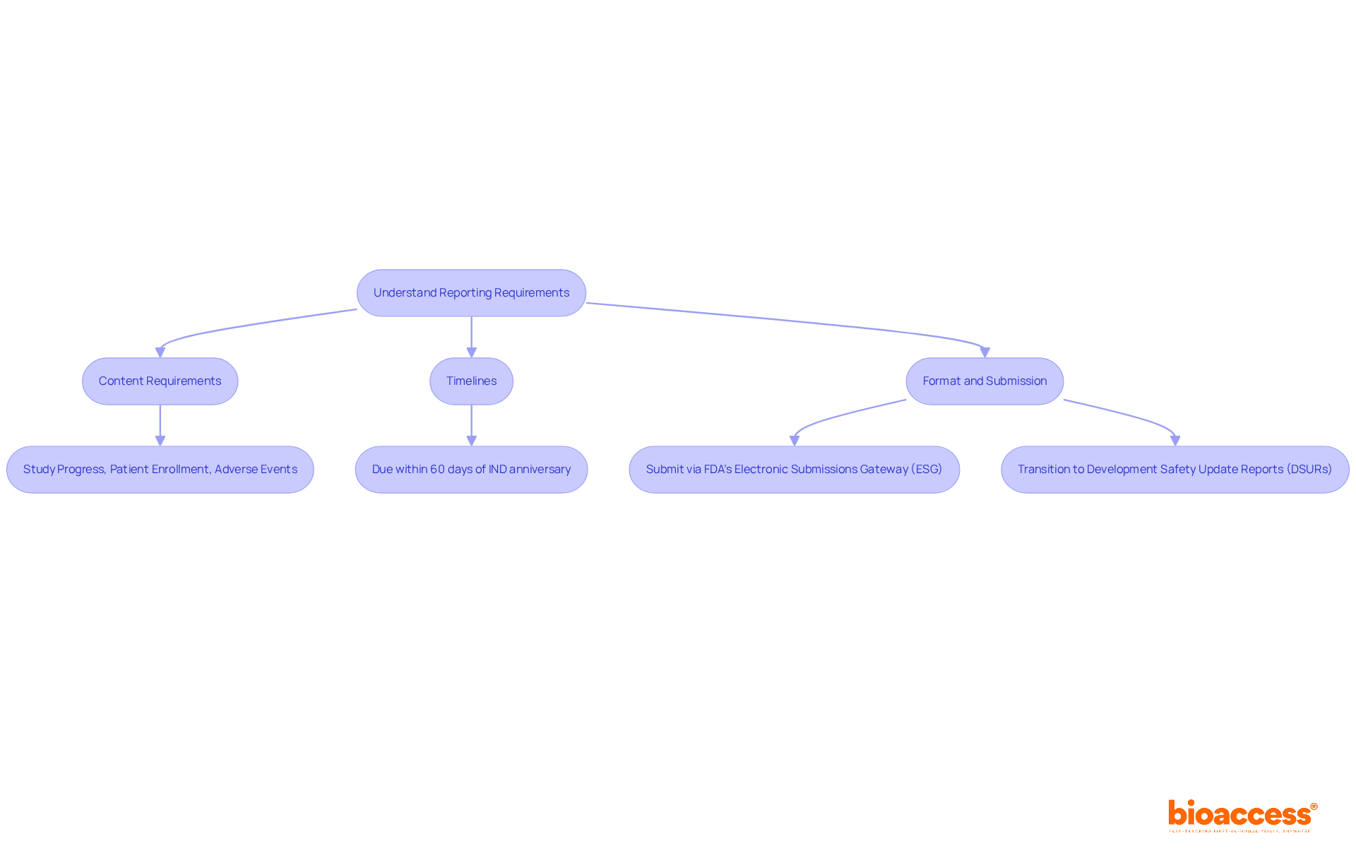 This chart guides you through the steps Clinical Research Directors must follow for FDA annual reports. Each box represents a key part of the reporting process — follow the arrows to see how everything connects! This chart guides you through the steps Clinical Research Directors must follow for FDA annual reports. Each box represents a key part of the reporting process — follow the arrows to see how everything connects!