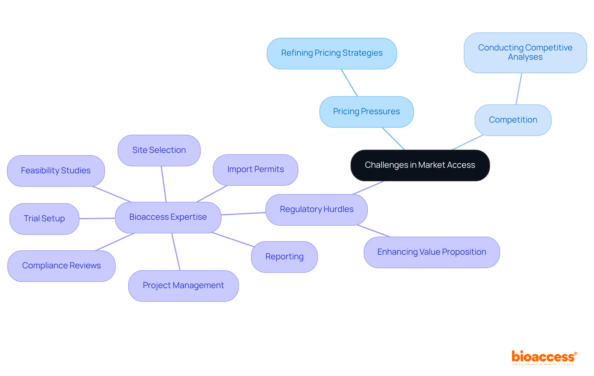 The central node highlights the main challenges, while branches show strategies and services that help navigate these challenges. Each color-coded branch indicates a different category, helping you see how everything connects.