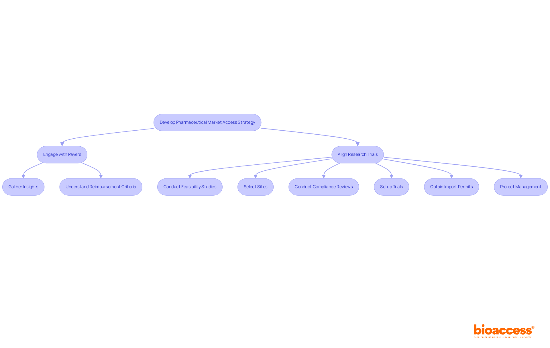 Each box represents a key step in the reimbursement strategy process — follow the arrows to see how they connect and lead to successful market access.